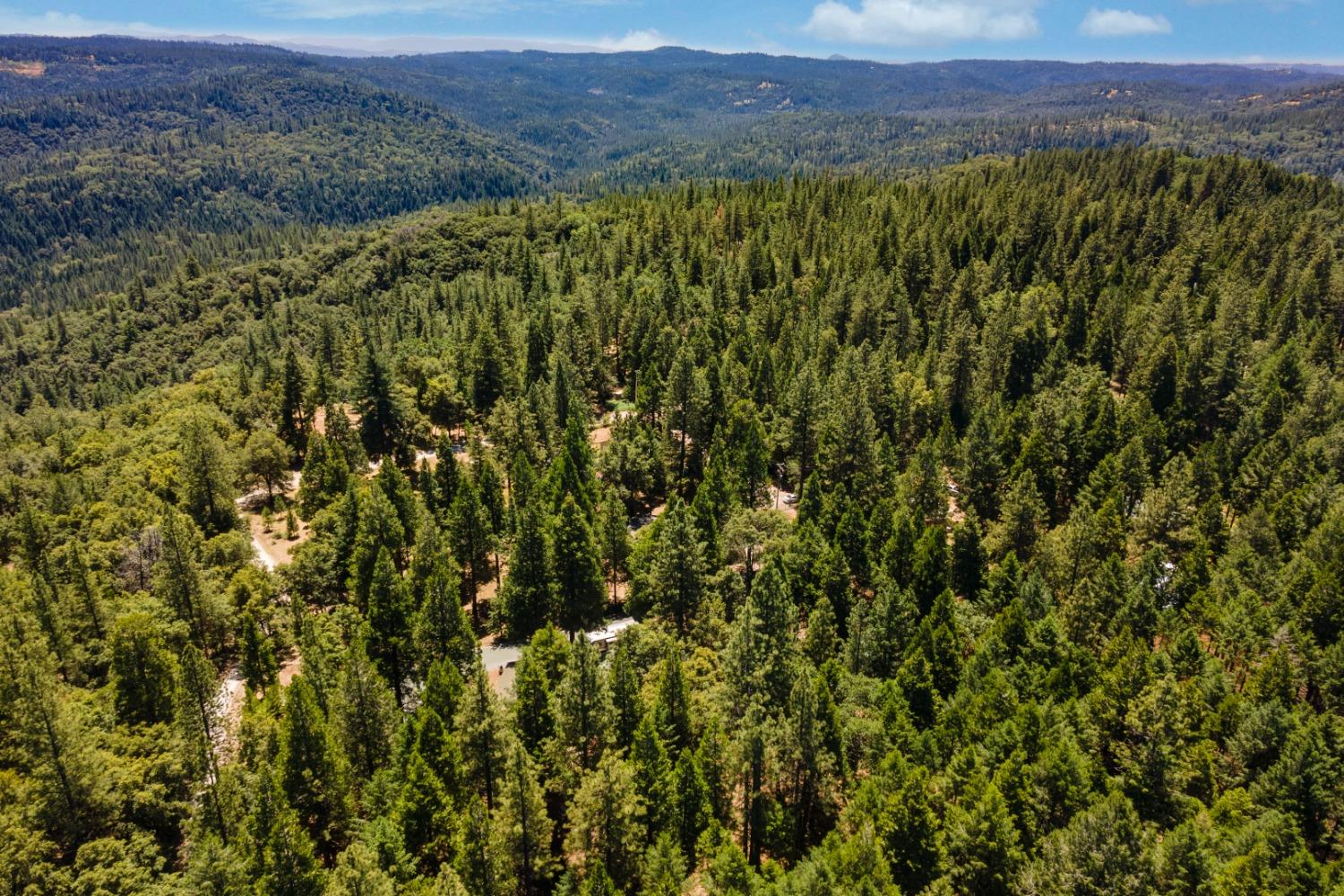 18715 Gold Creek Trail