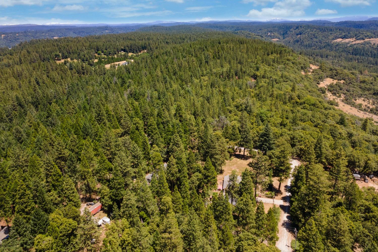 18715 Gold Creek Trail