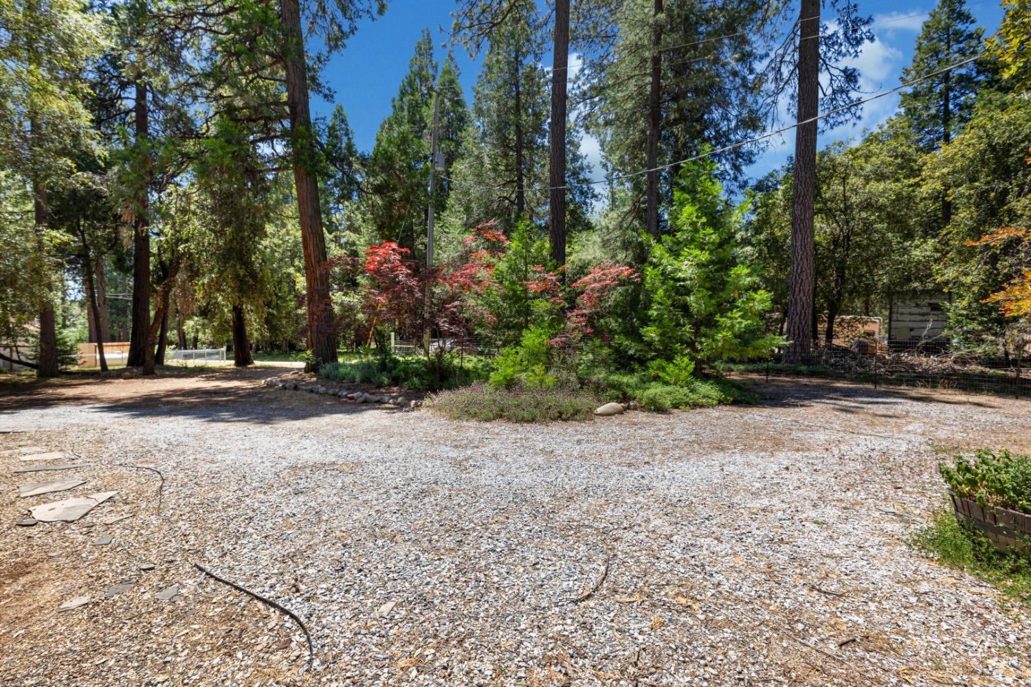 18715 Gold Creek Trail