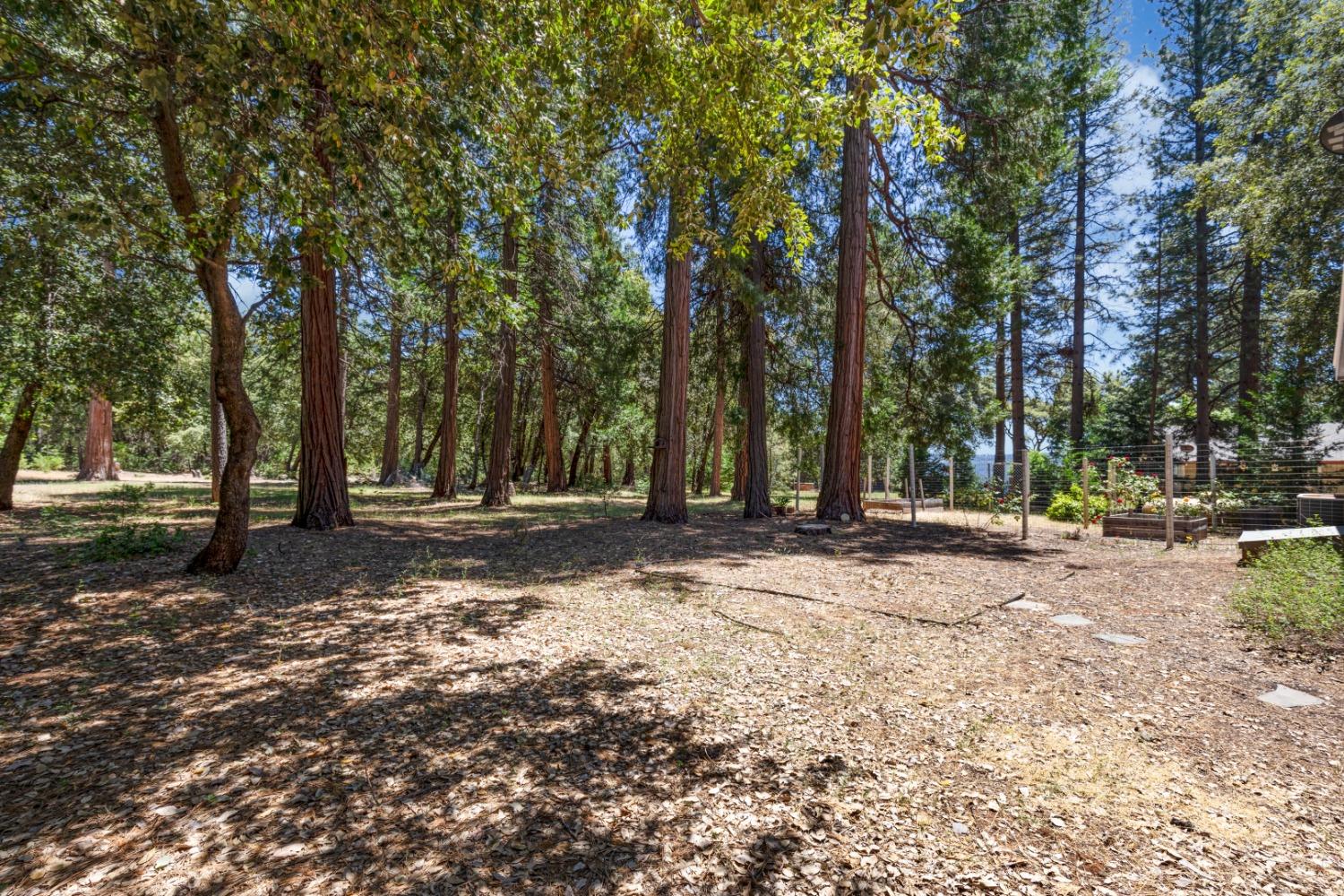 18715 Gold Creek Trail