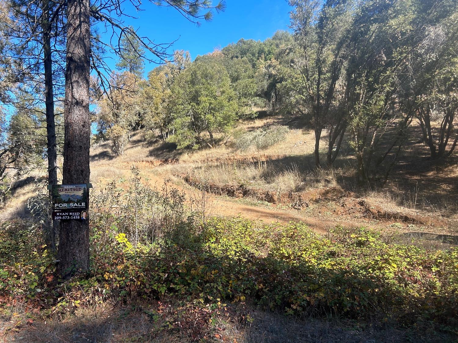 15647 clover valley rd