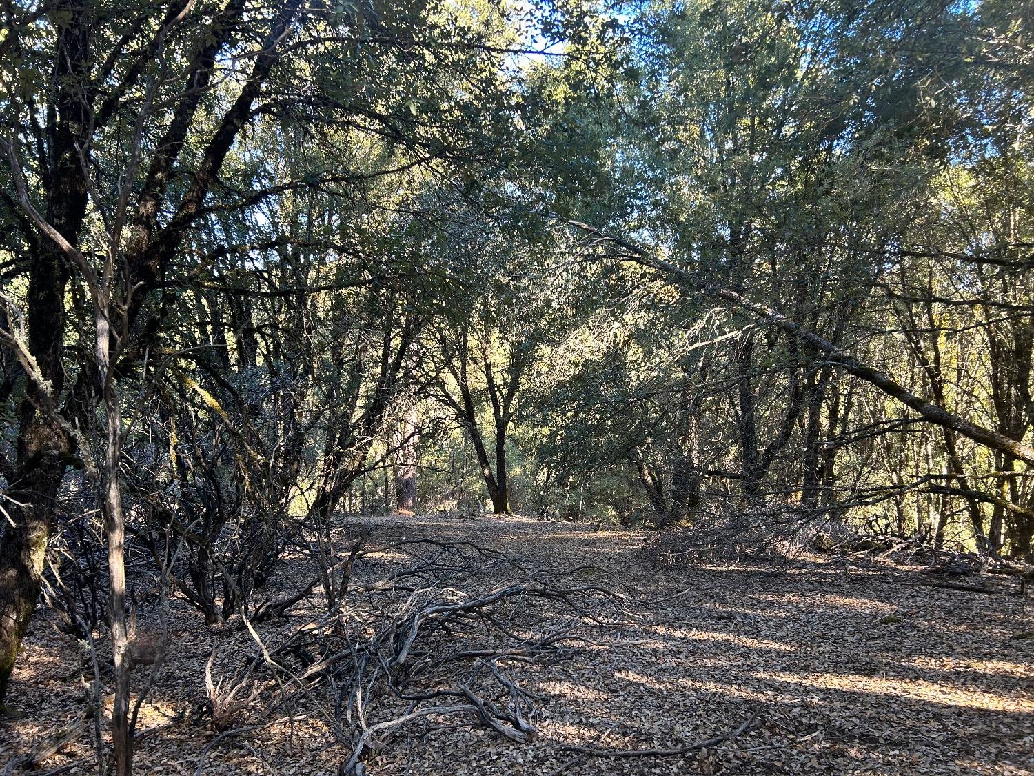 15647 clover valley rd