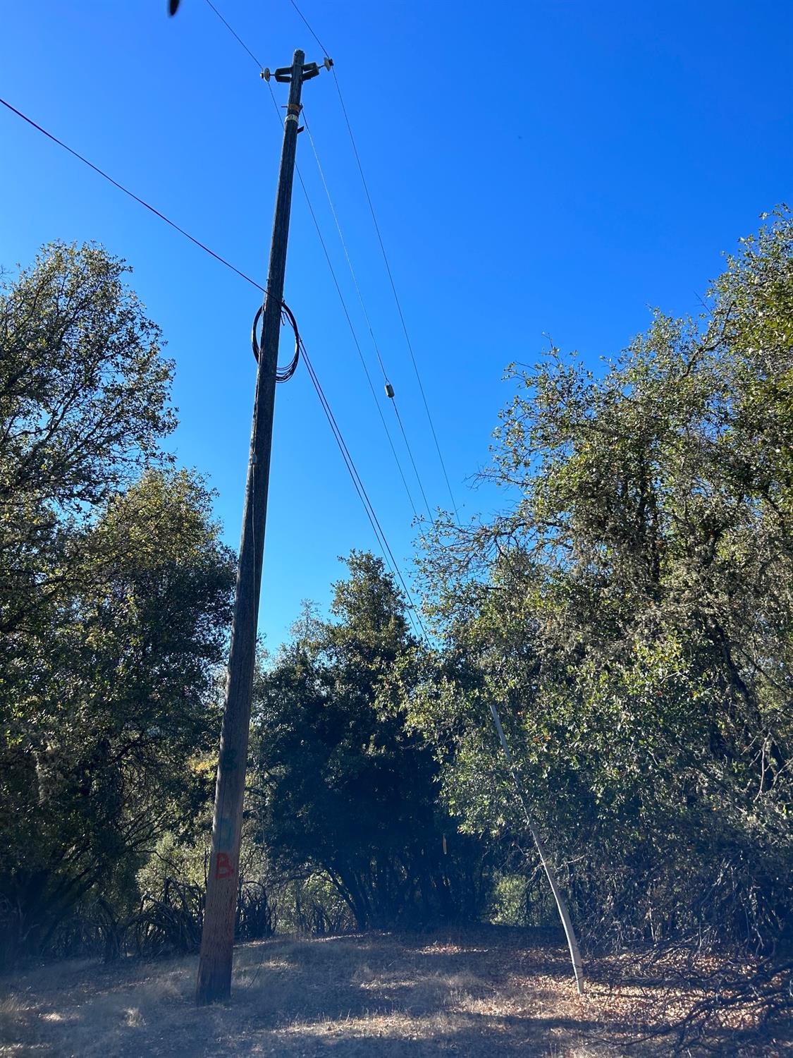 15647 clover valley rd