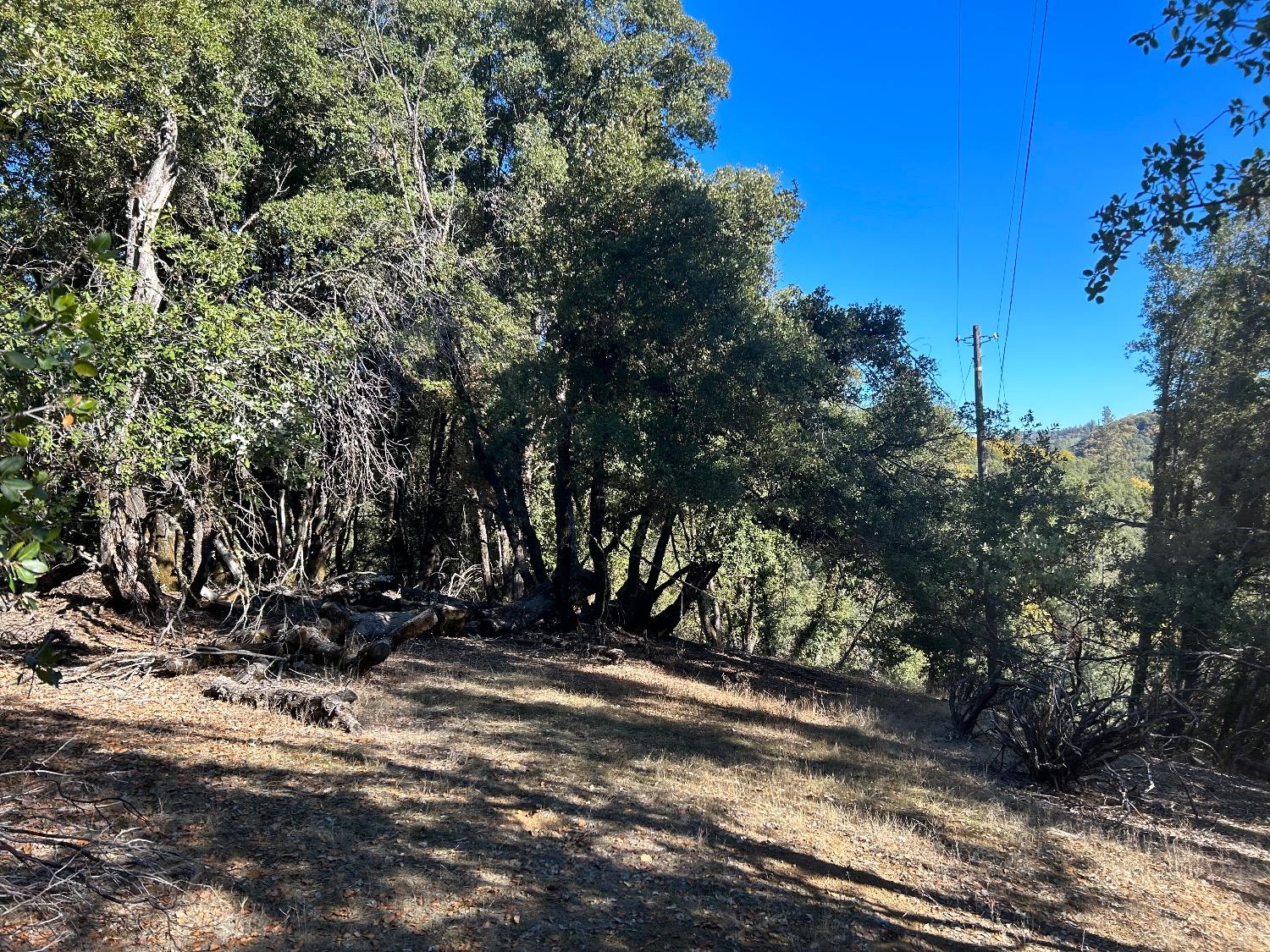 15647 clover valley rd