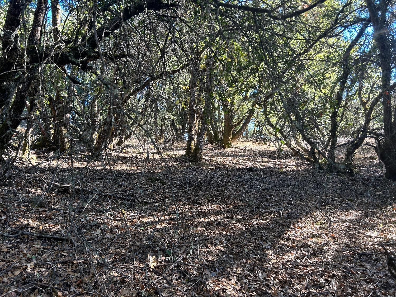 15647 clover valley rd