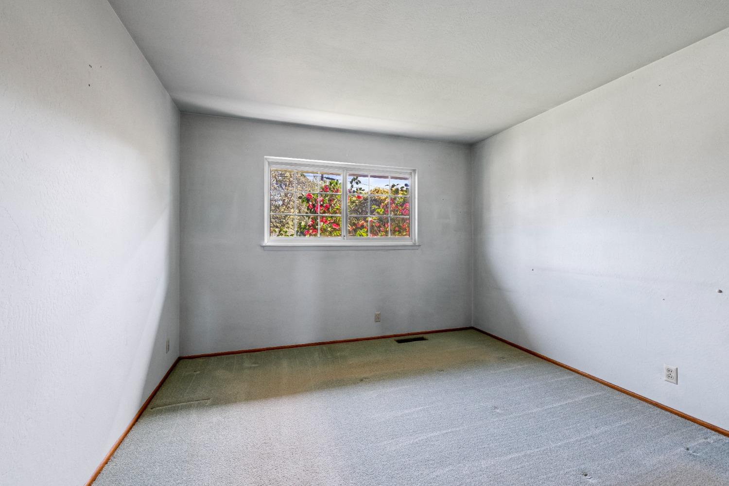 3923 San Juan Avenue