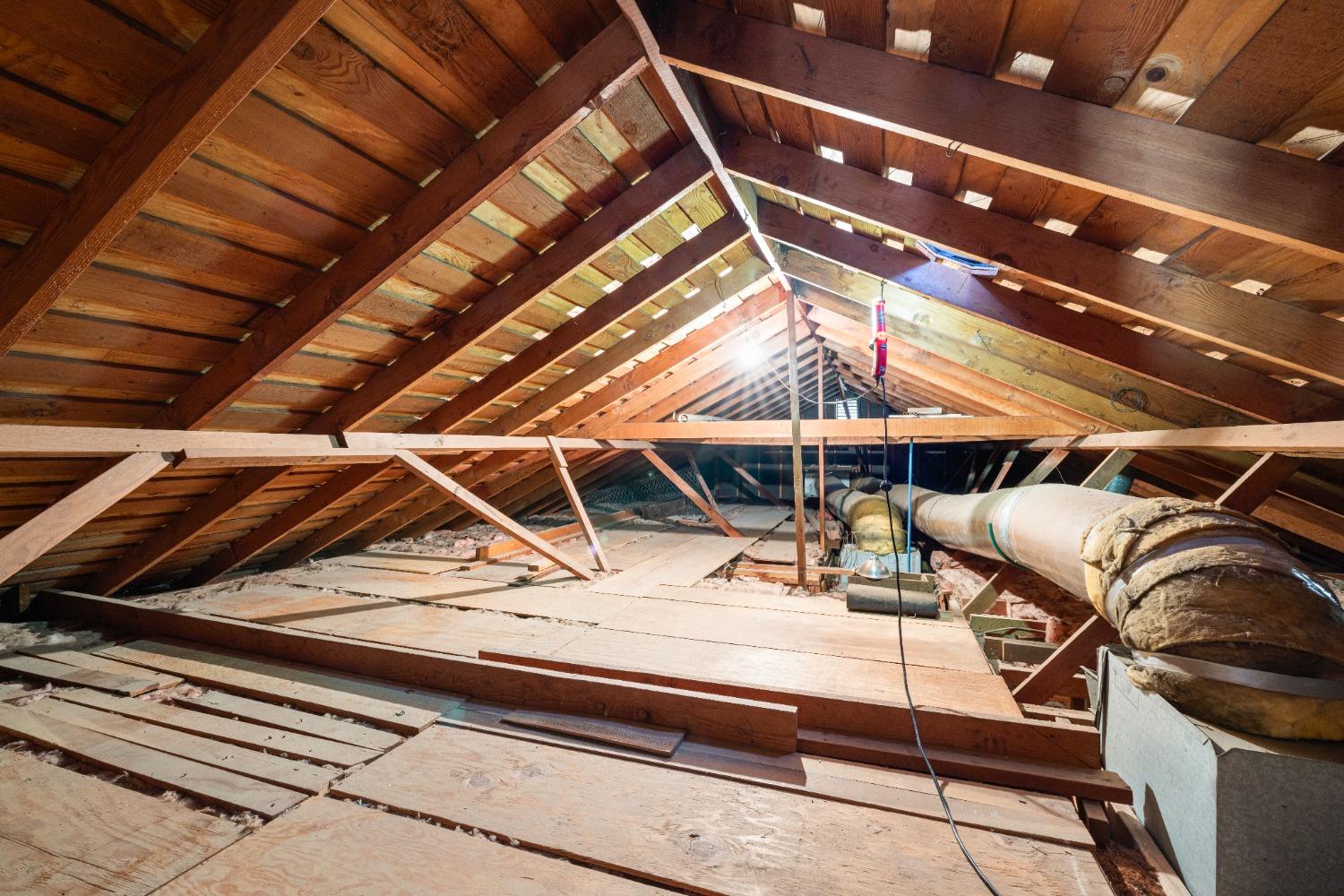 3923 San Juan Avenue