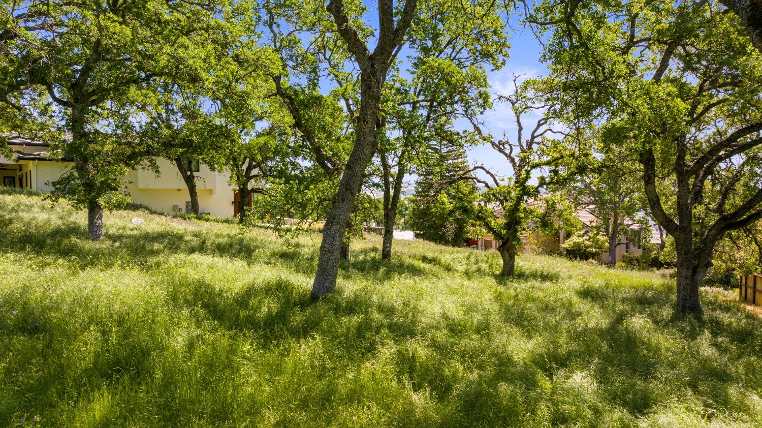 3641 Roble Court