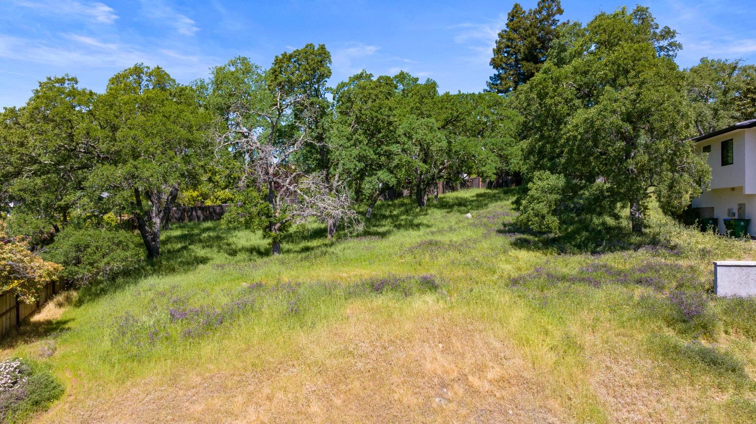 3641 Roble Court