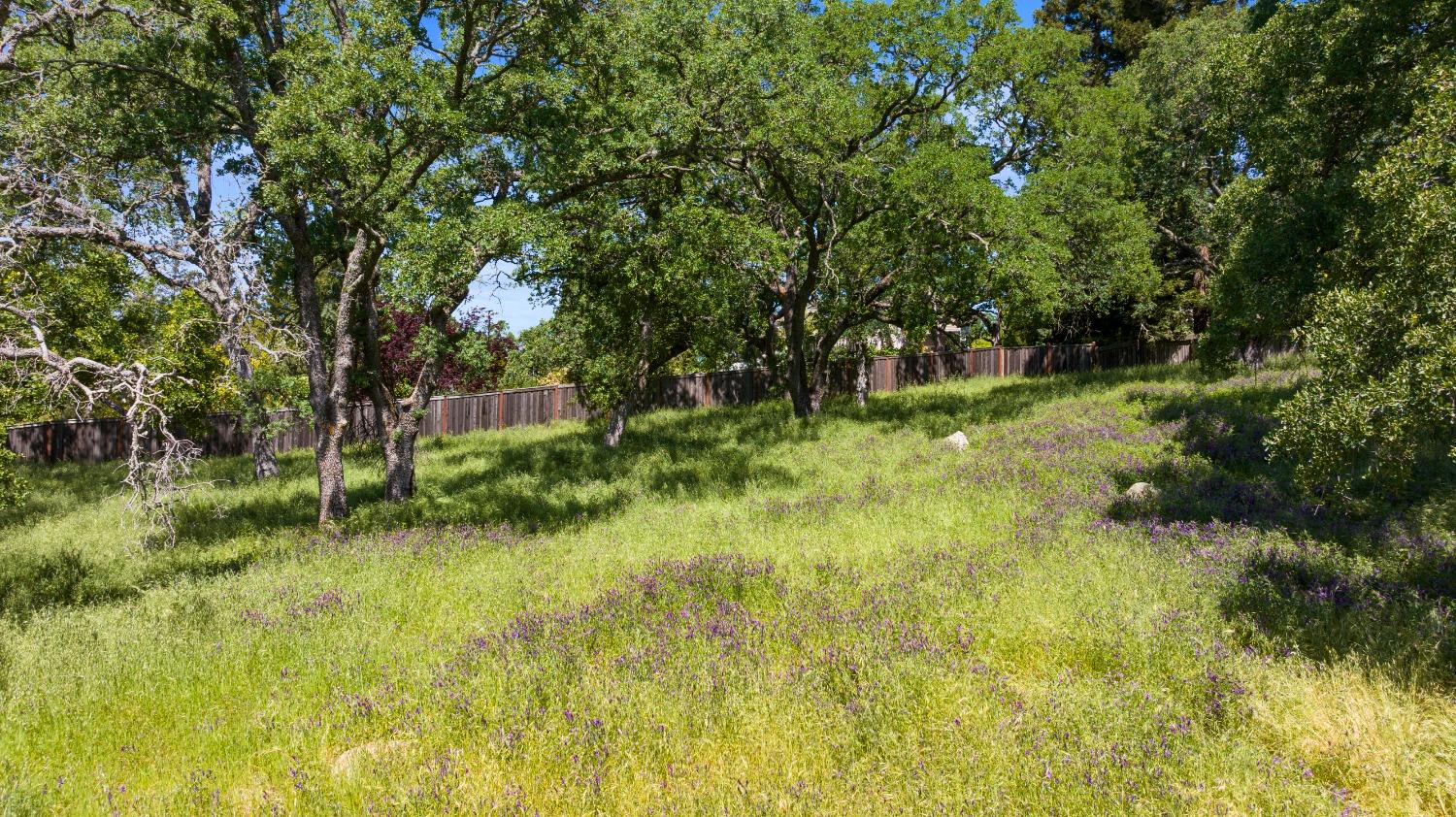3641 Roble Court