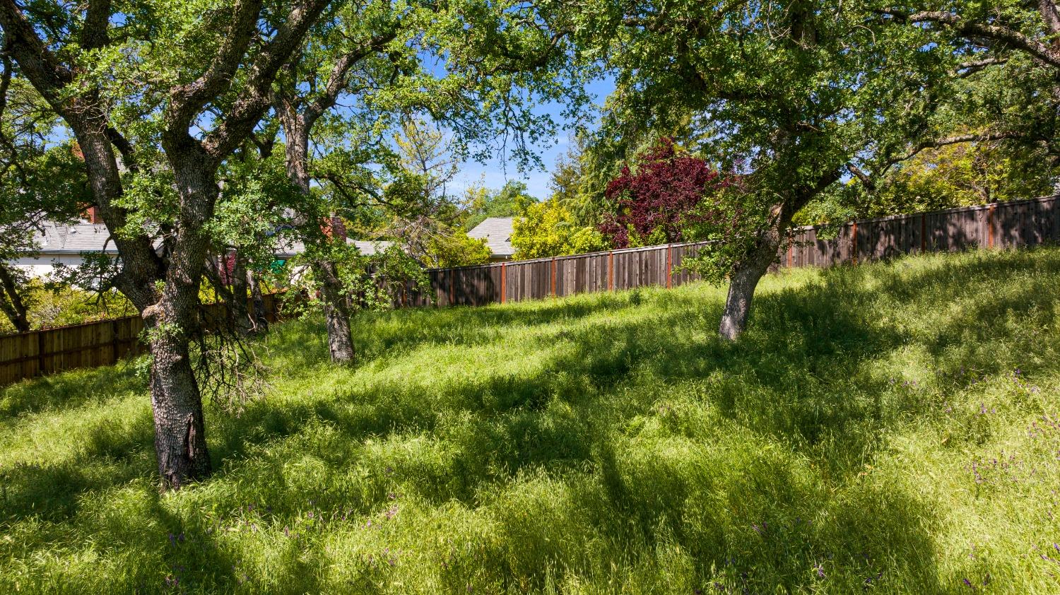 3641 Roble Court