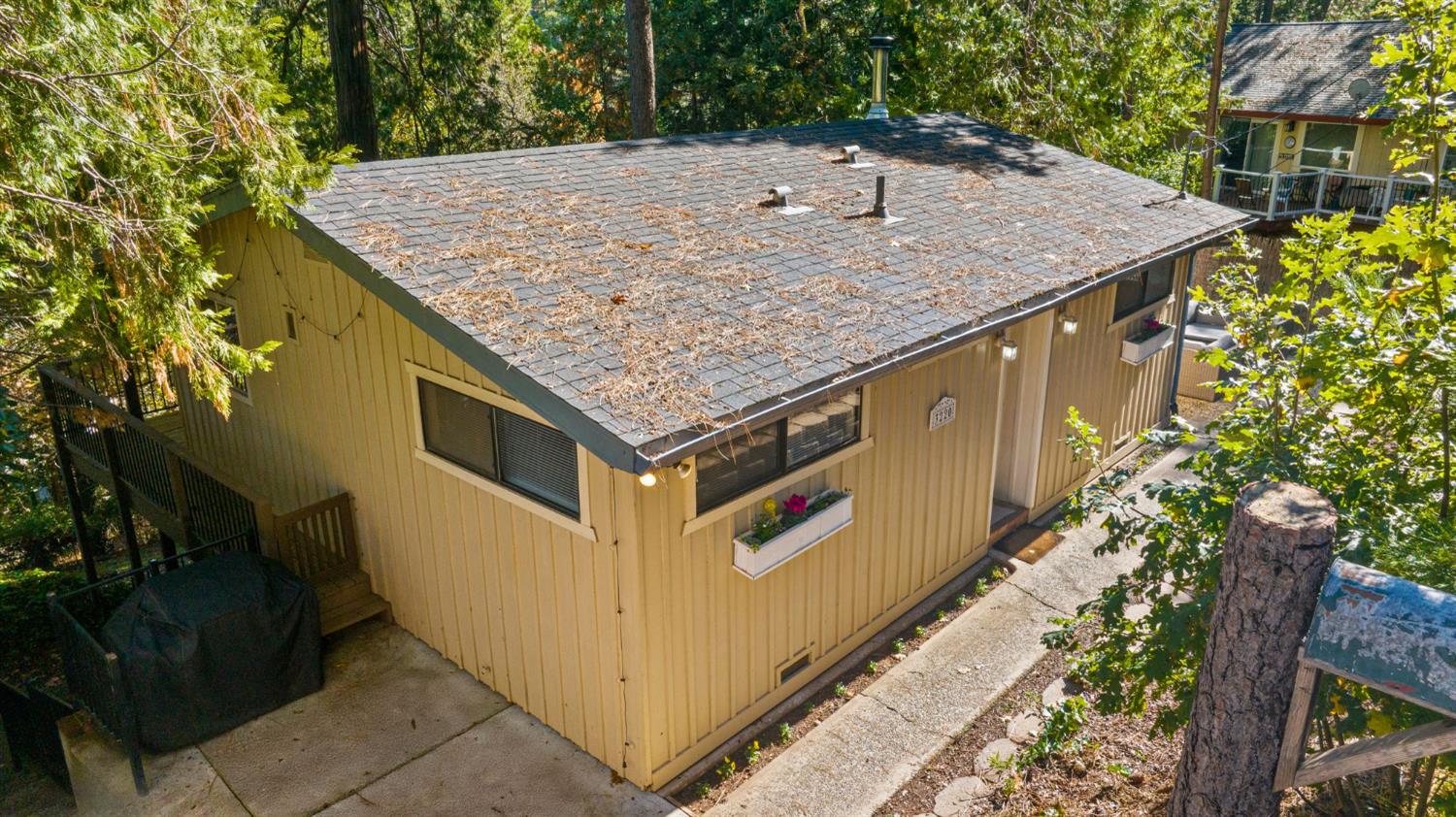 3220 Naomi Way