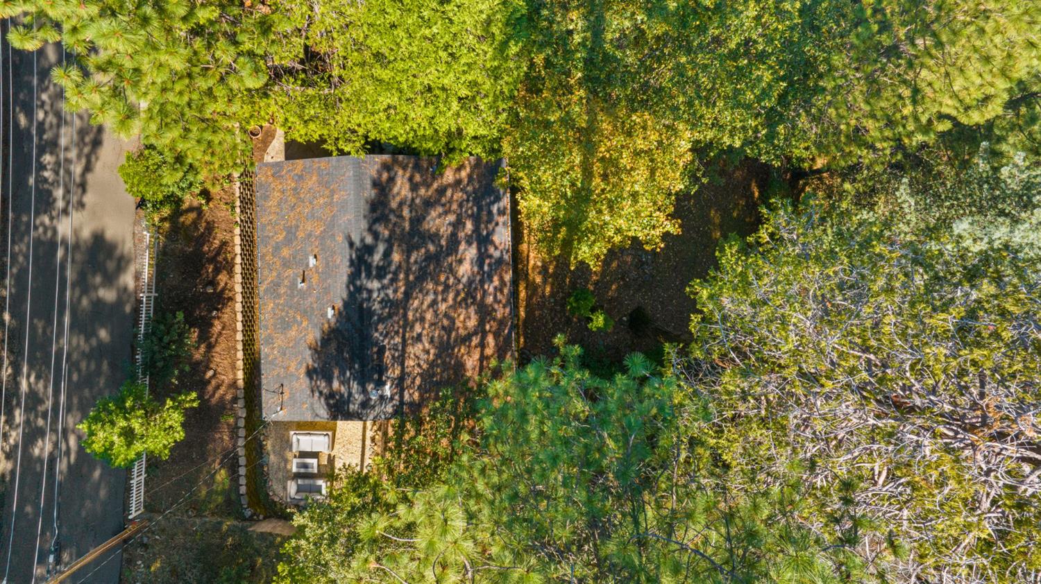 3220 Naomi Way