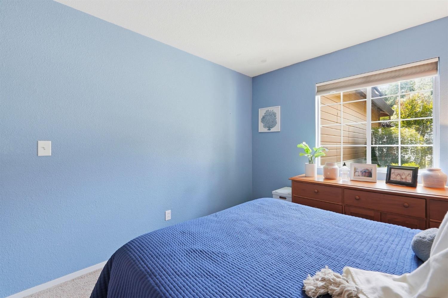 3376 Alyssum Circle