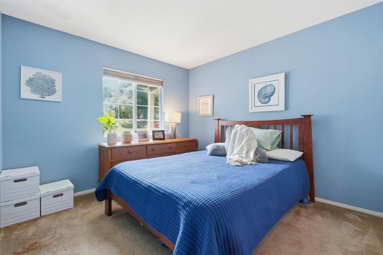 3376 Alyssum Circle