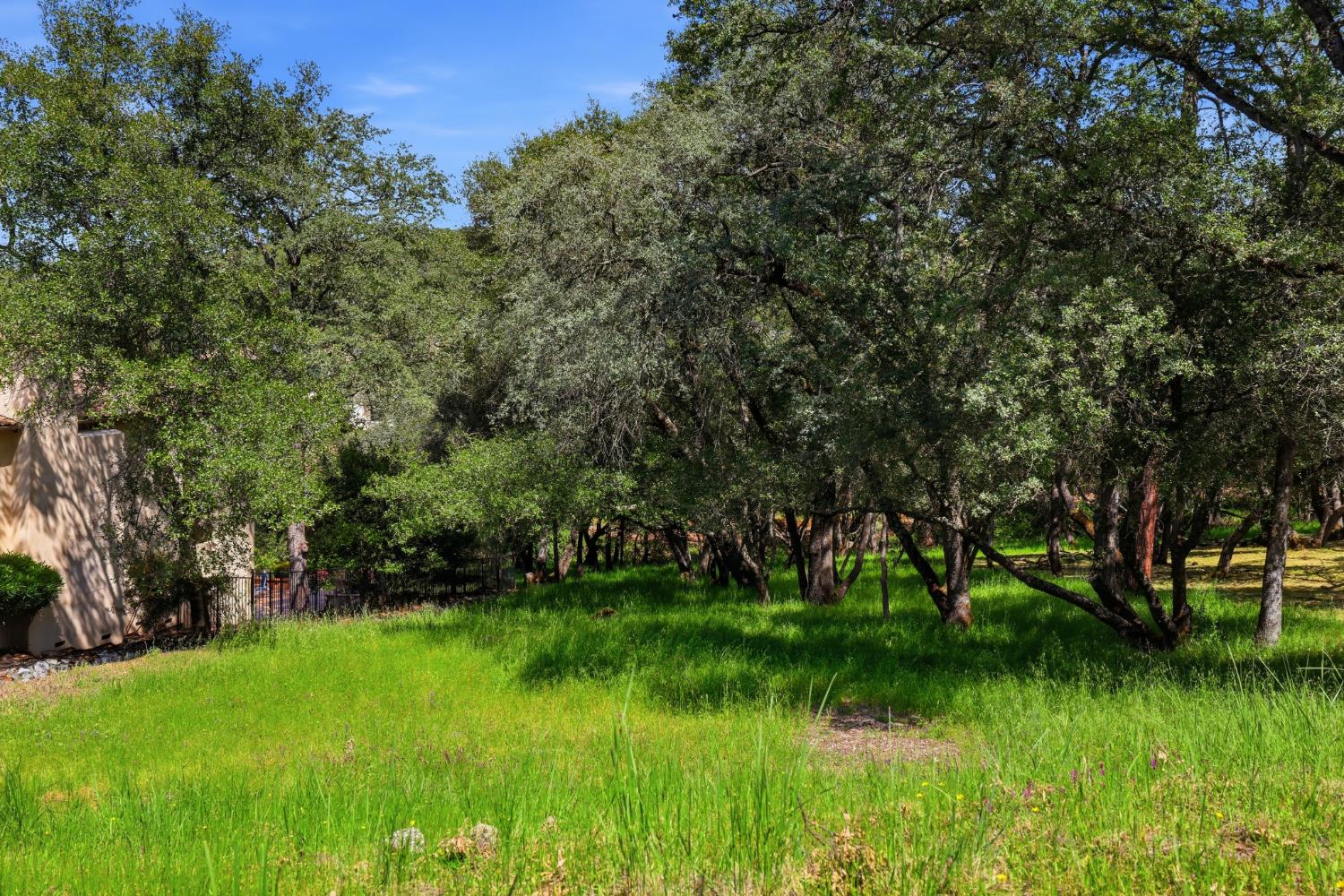 6077 Aldea Drive