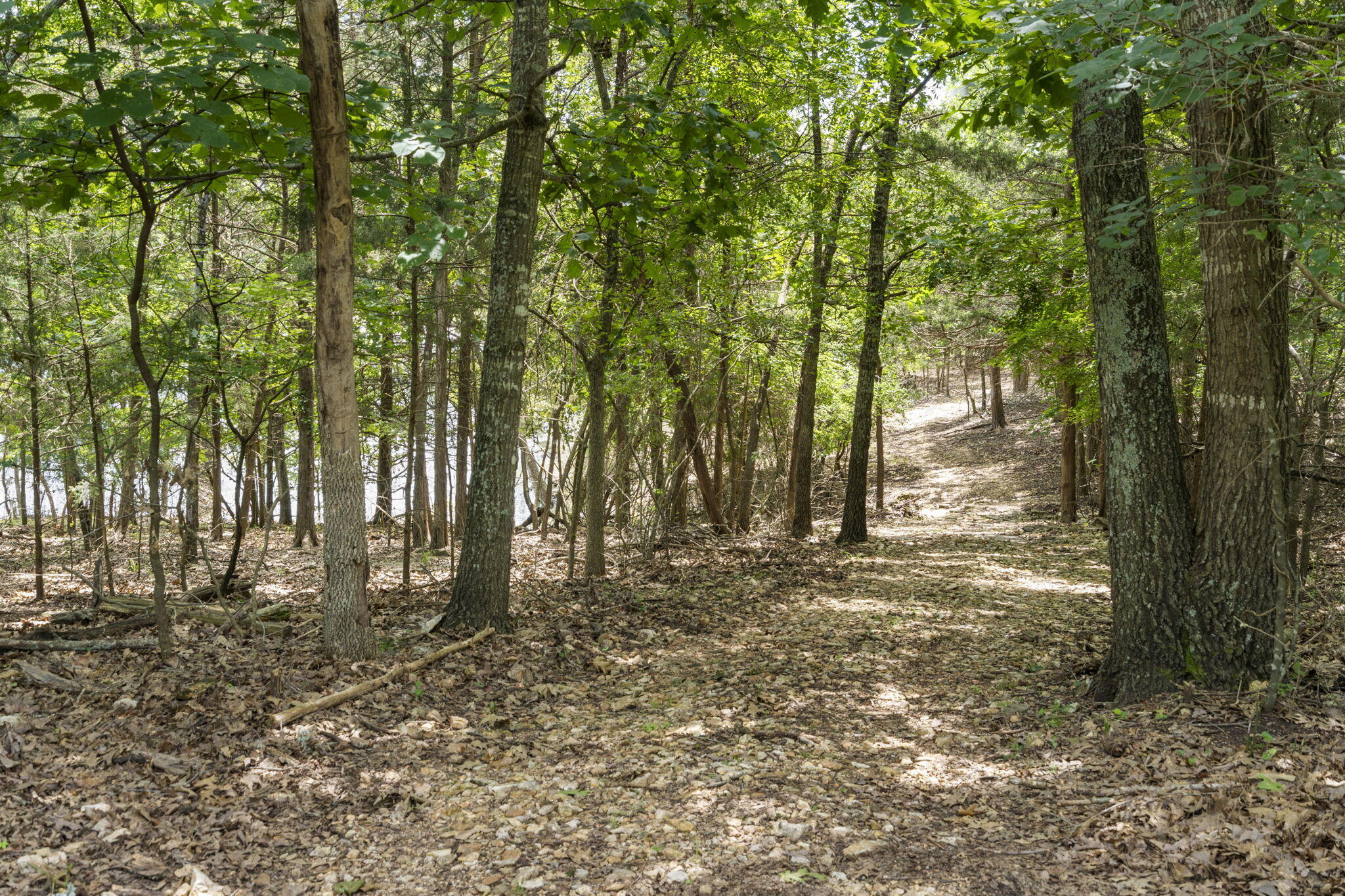 240 Hammock Way Way