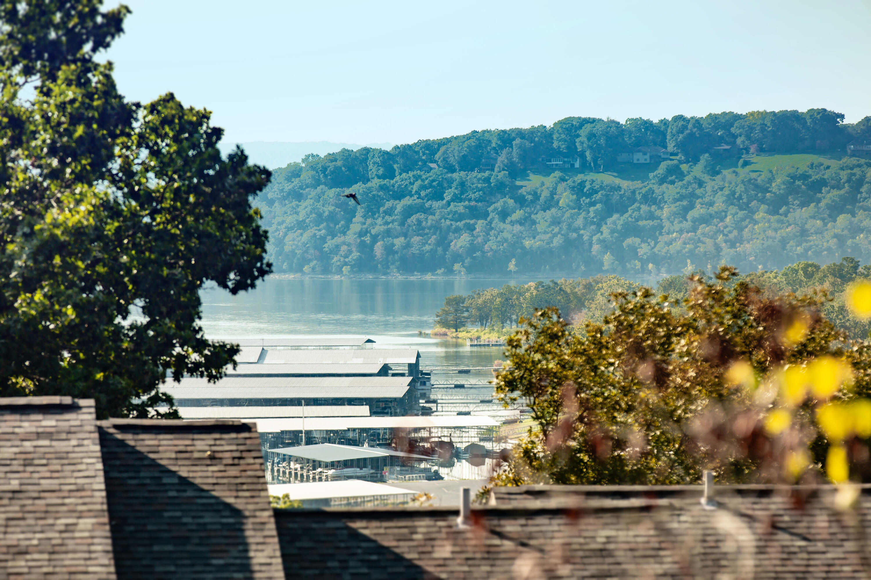 91 Port Drive Unit: 3