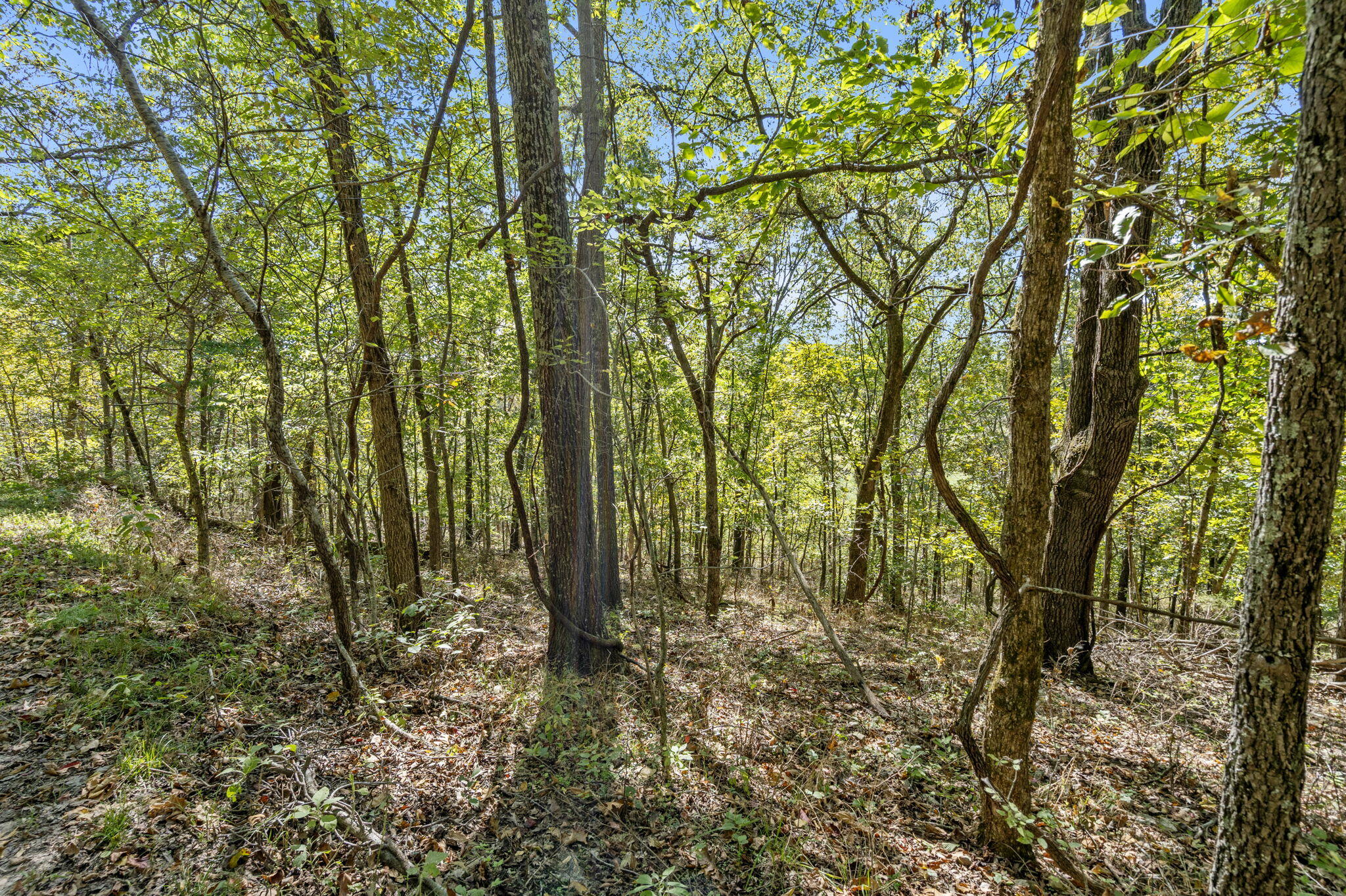 Tract 1 W Hicks Road