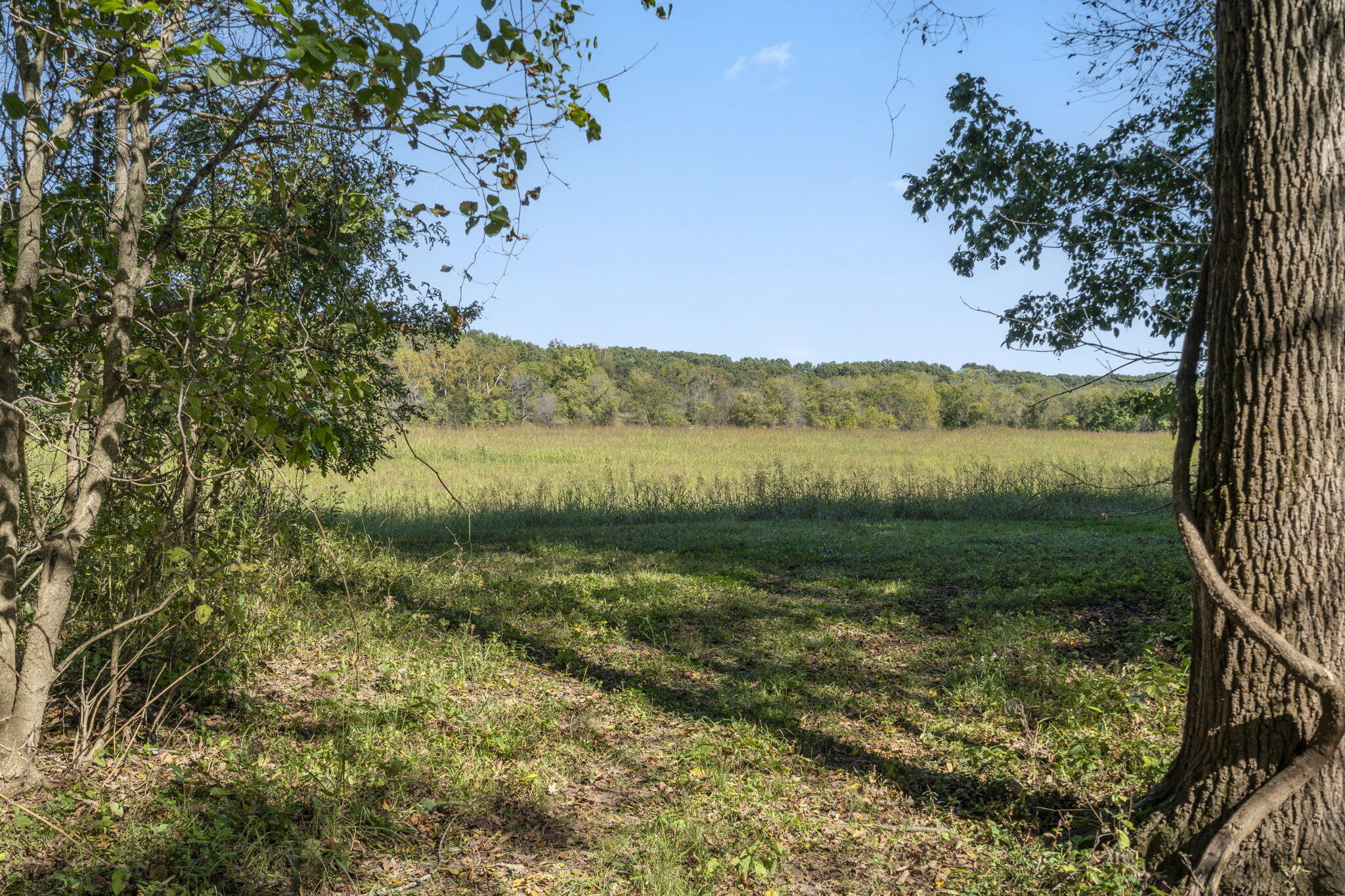 Tract 2 W Hicks Road