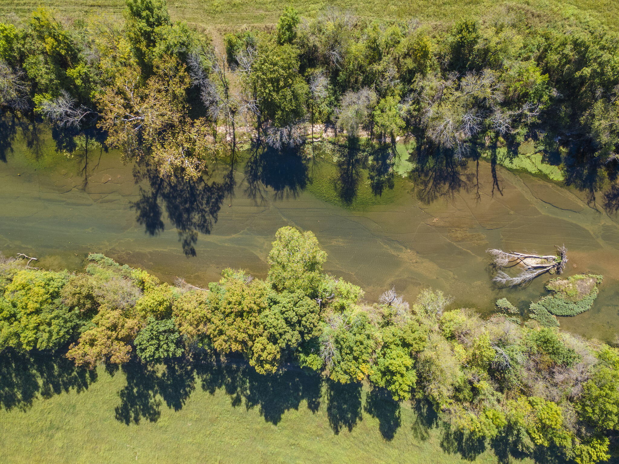 Tract 2 W Hicks Road