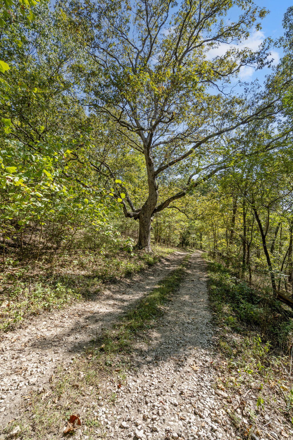 Tract 2 W Hicks Road