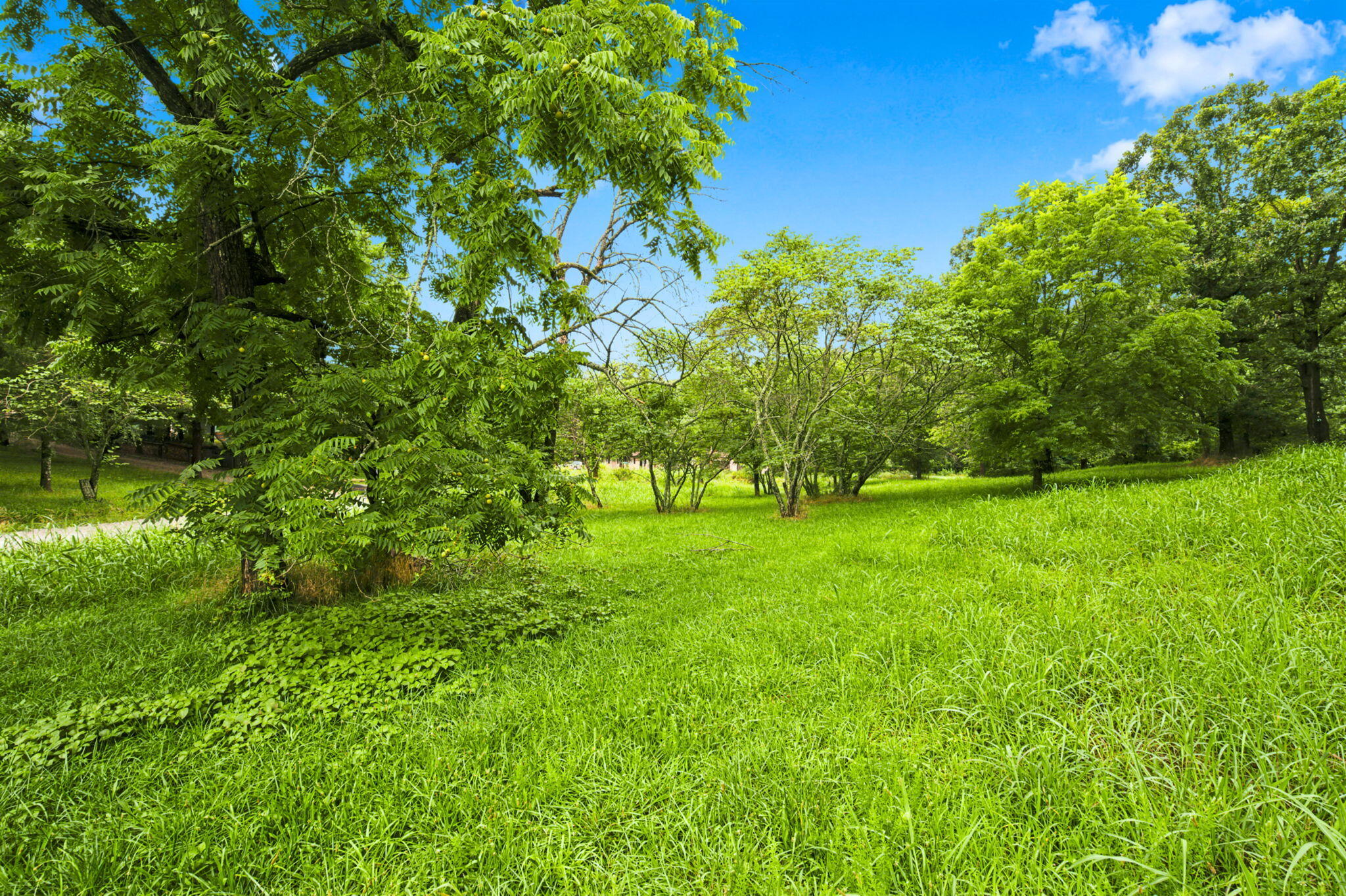 000 Cedar Cove Road