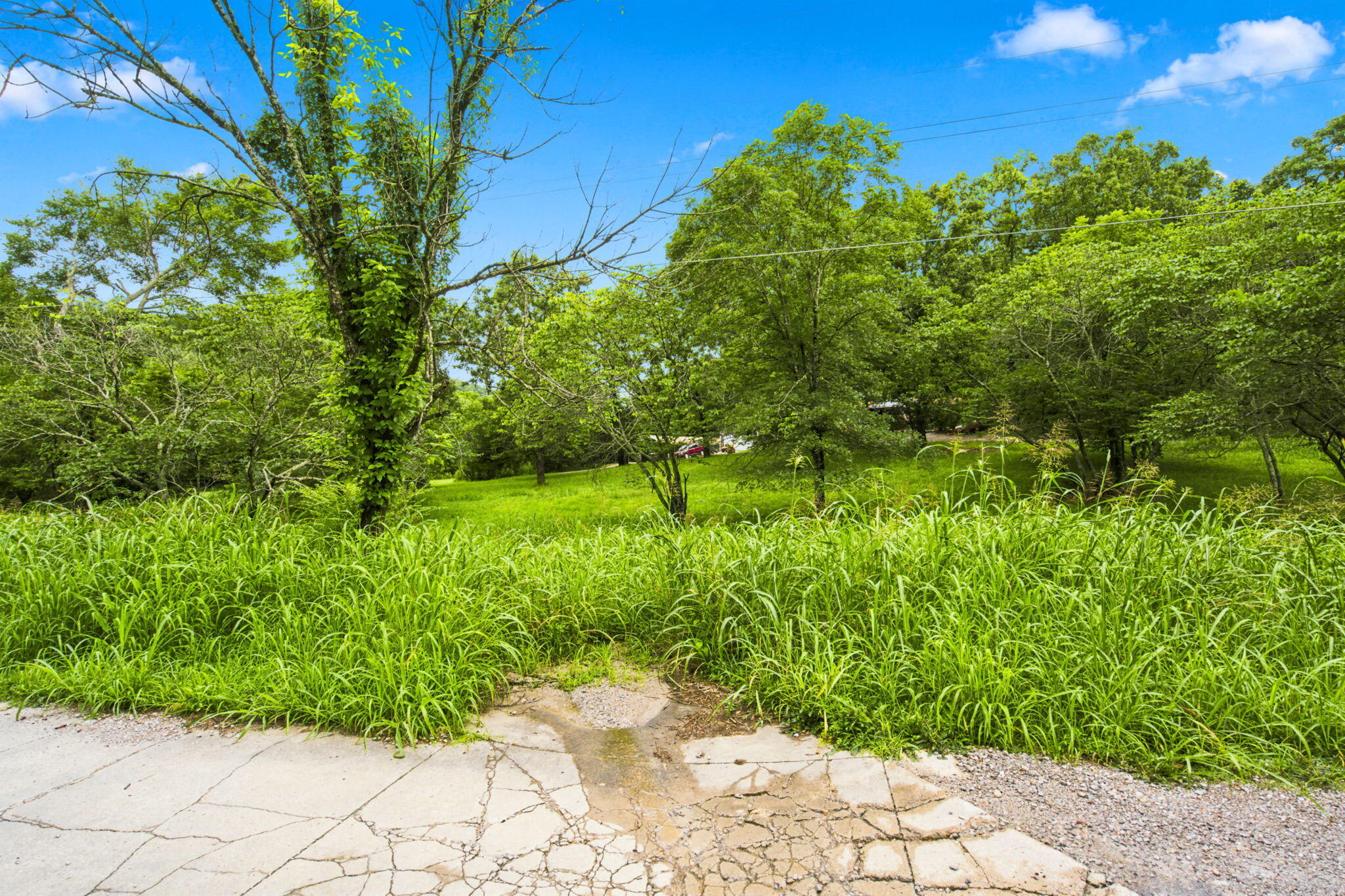 000 Cedar Cove Road