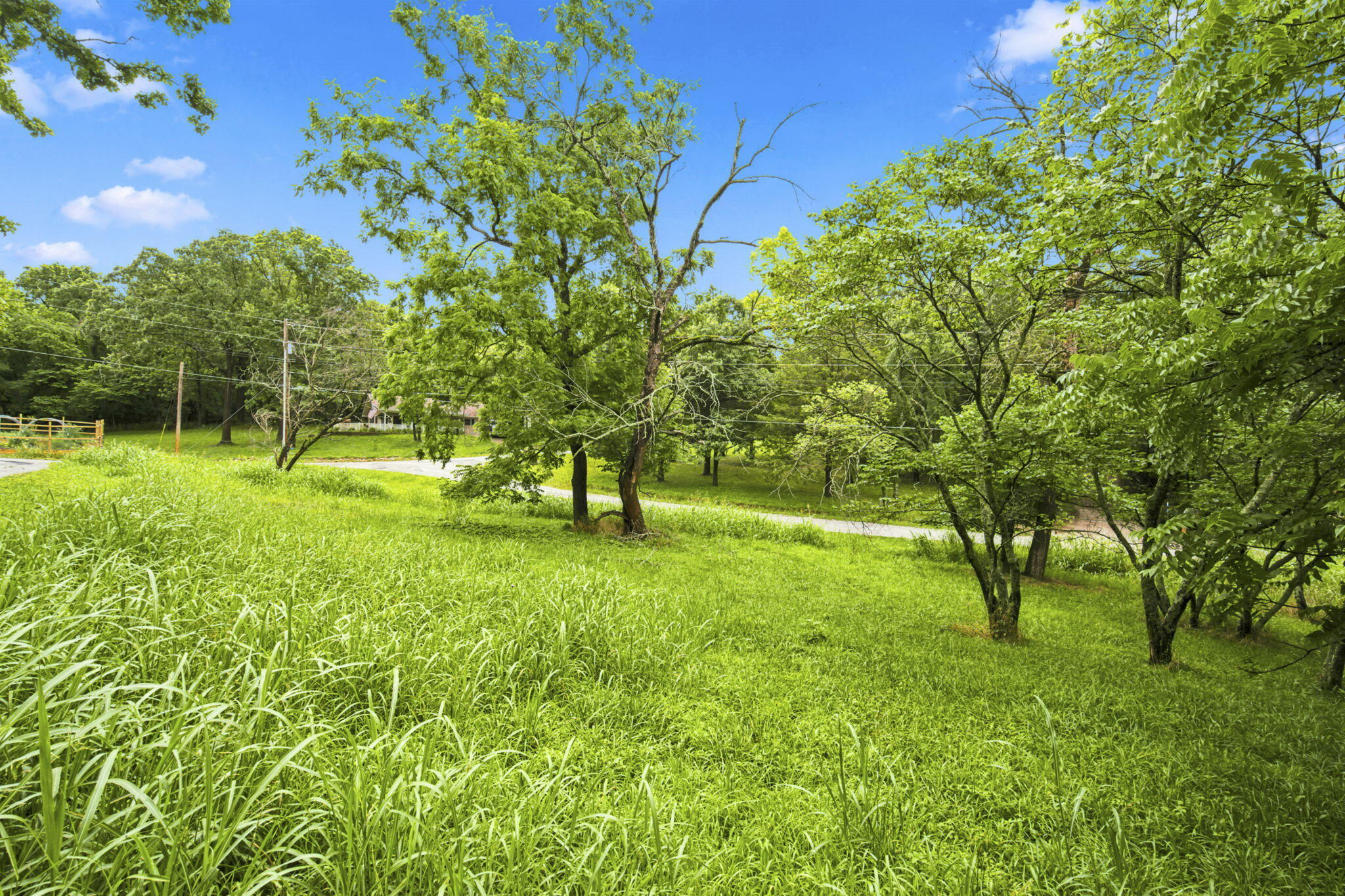 000 Cedar Cove Road