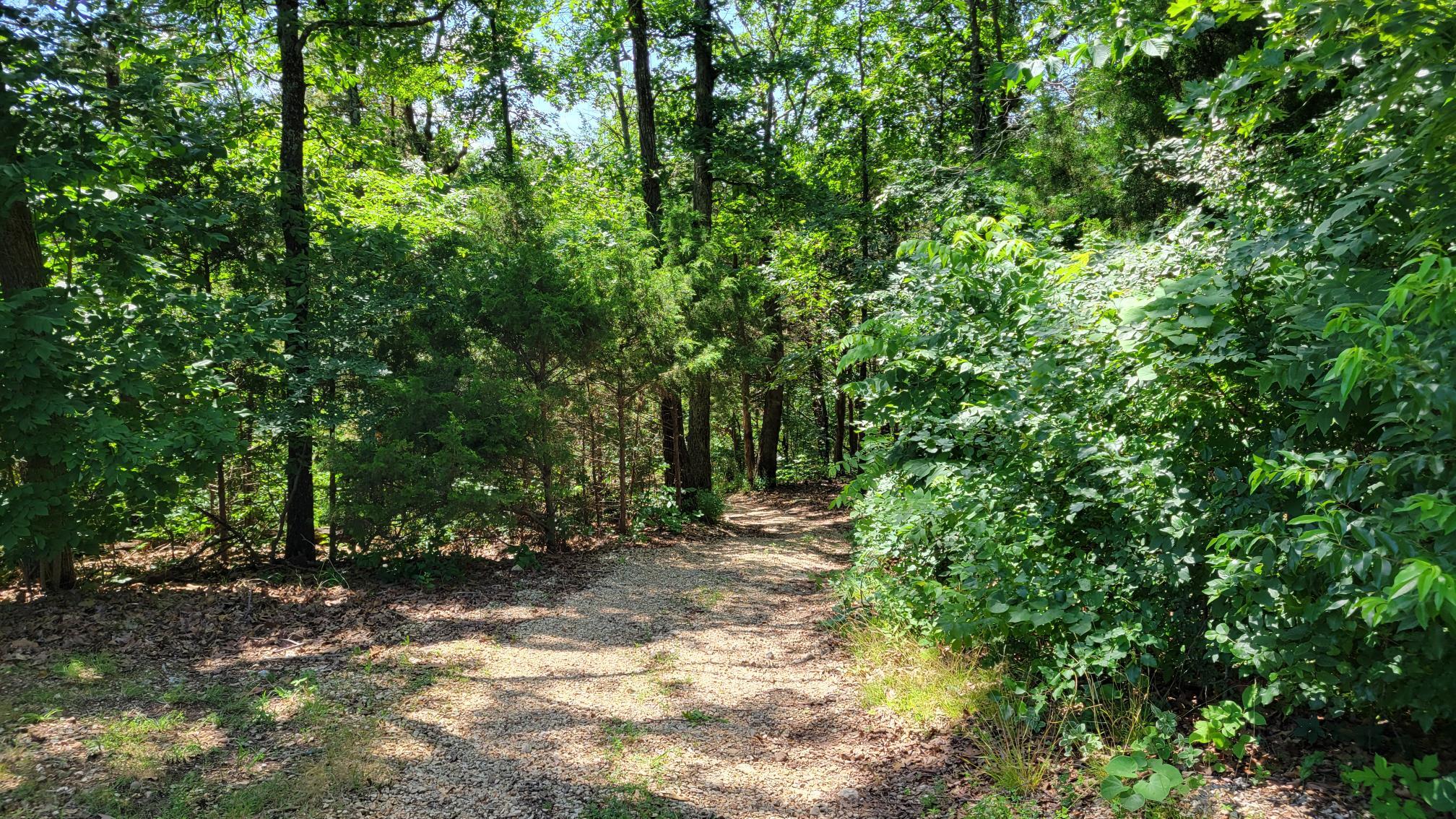 110 Kimberling Lane Unit: # 11