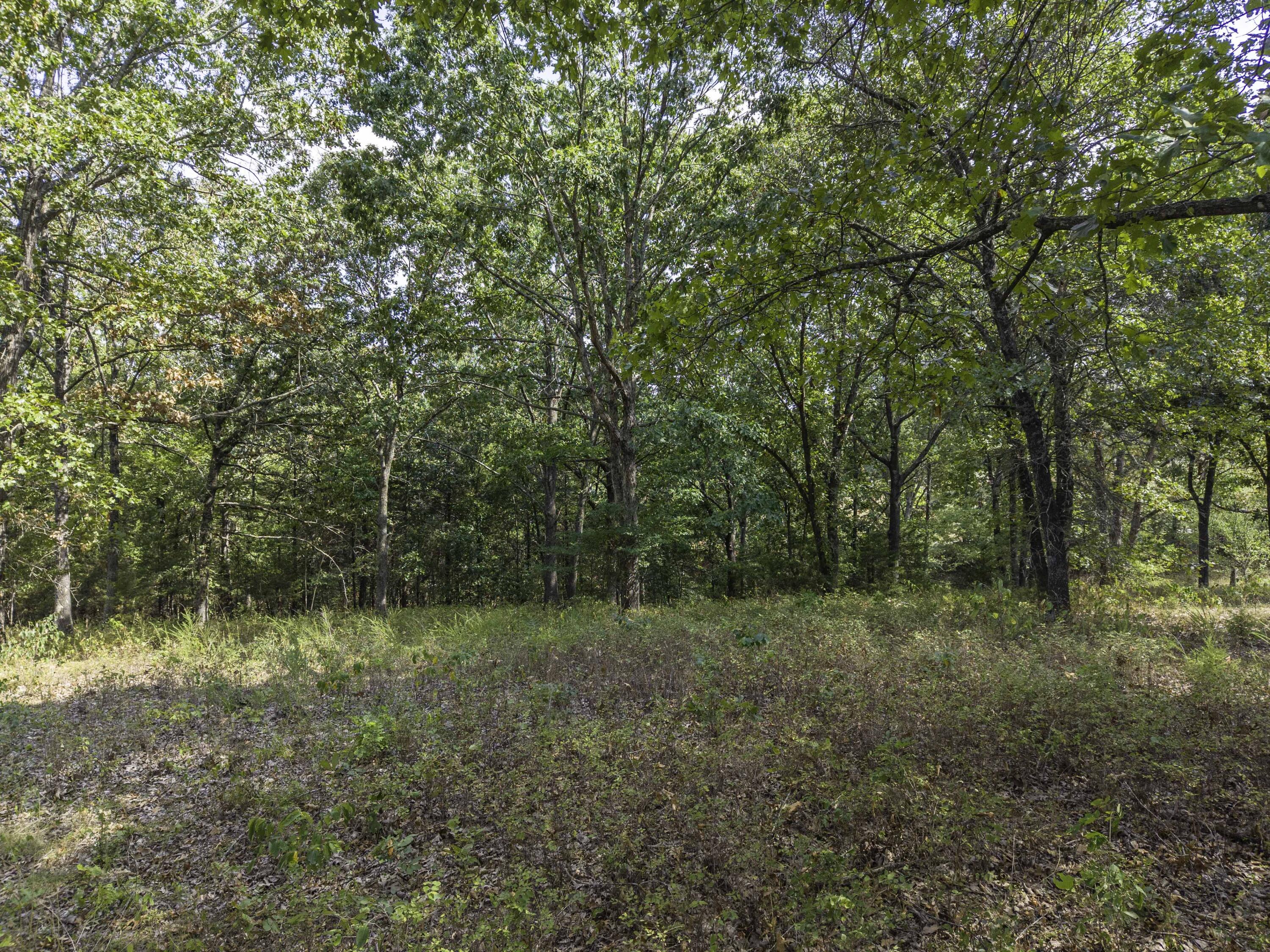 Lot 39& 40 Regal Heights Lane