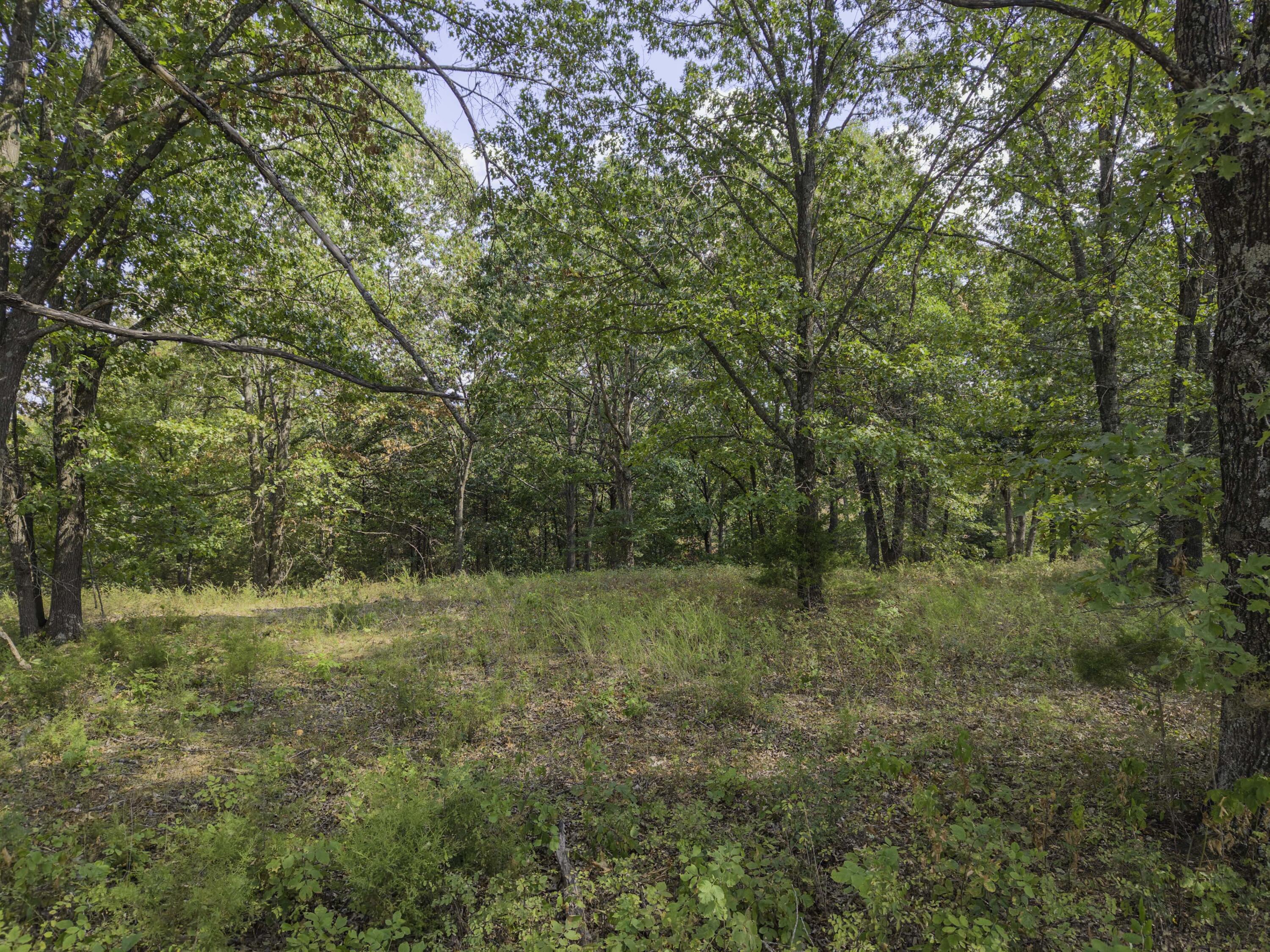Lot 39& 40 Regal Heights Lane