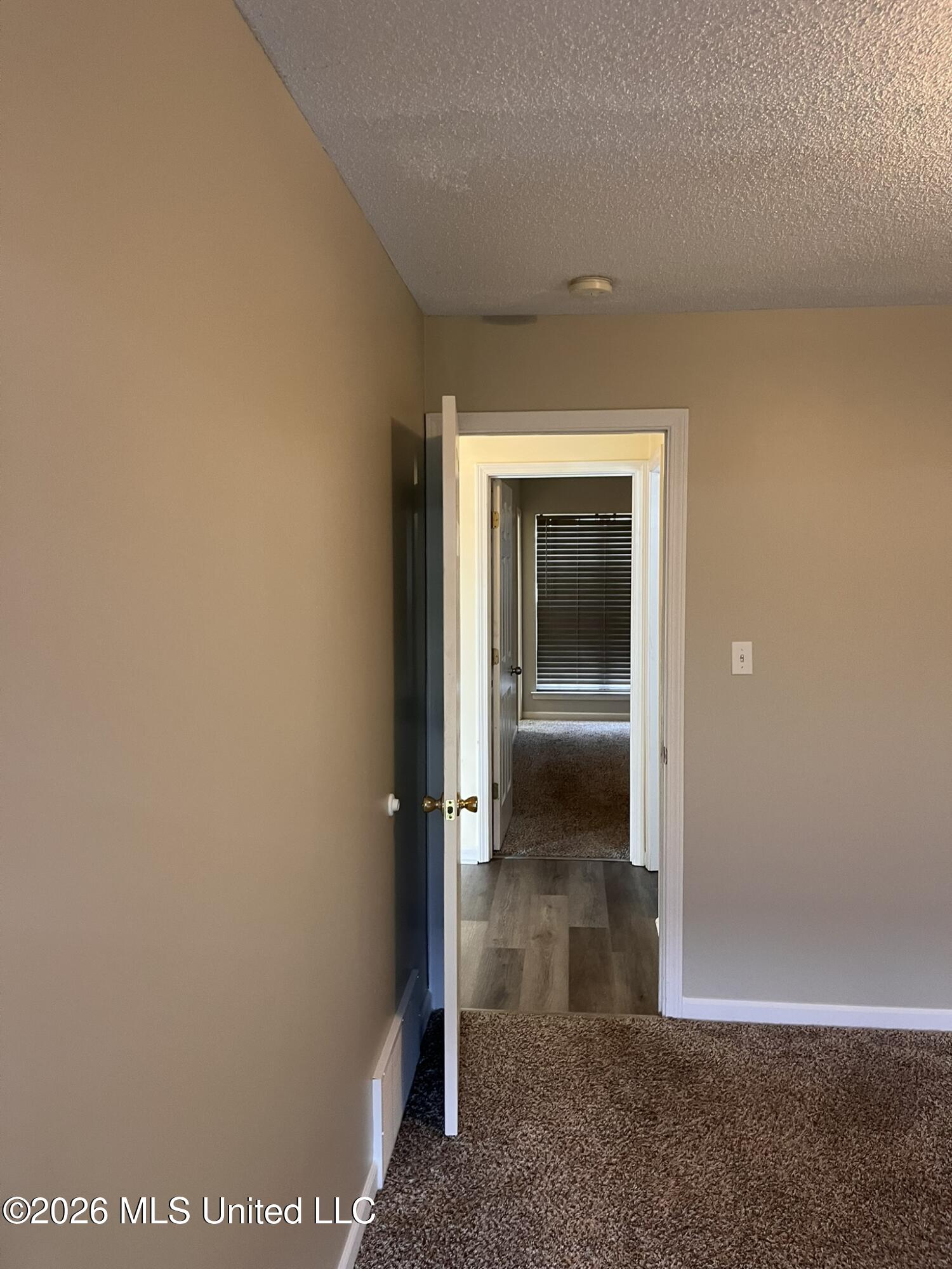 167 Orange Drive