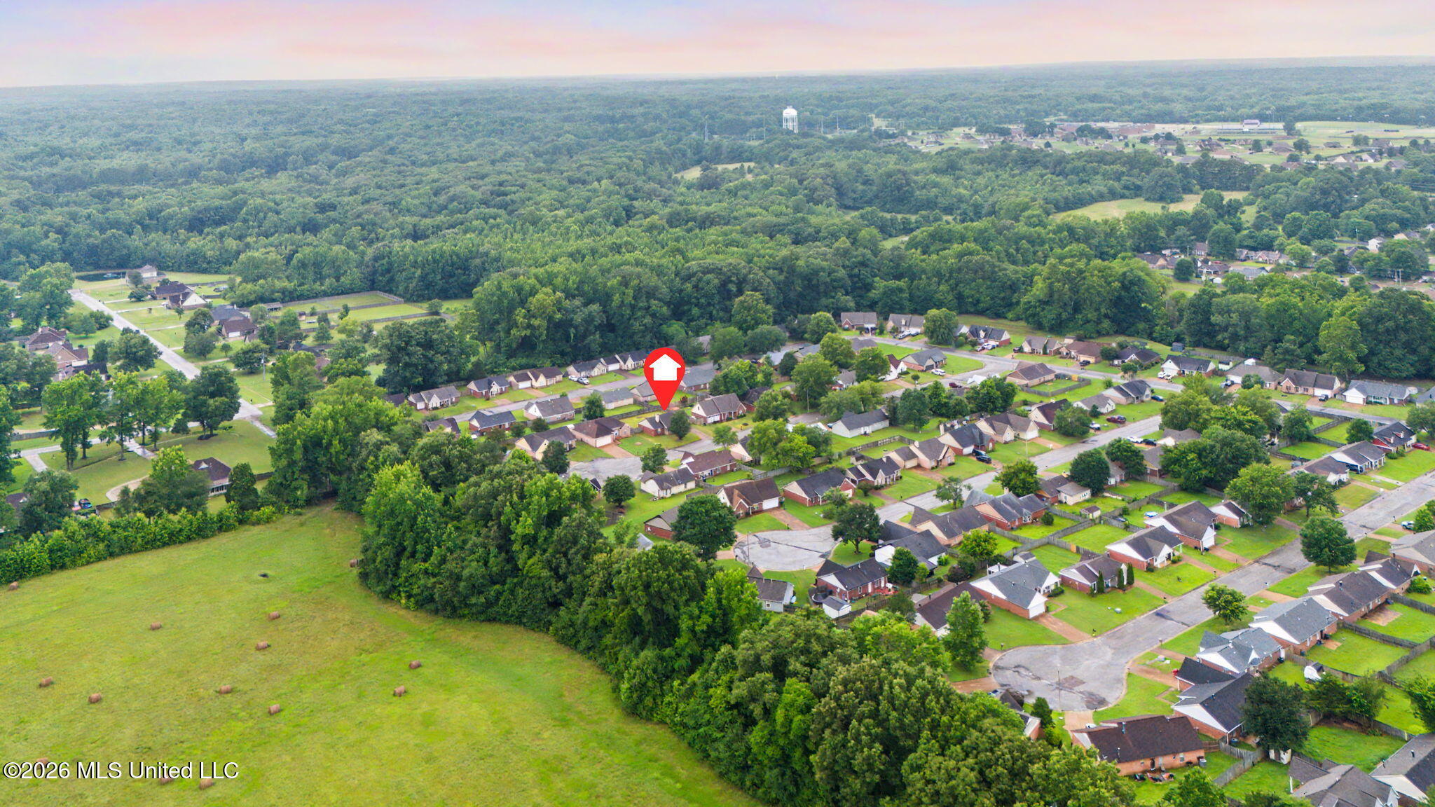 2561 Winwood Cove