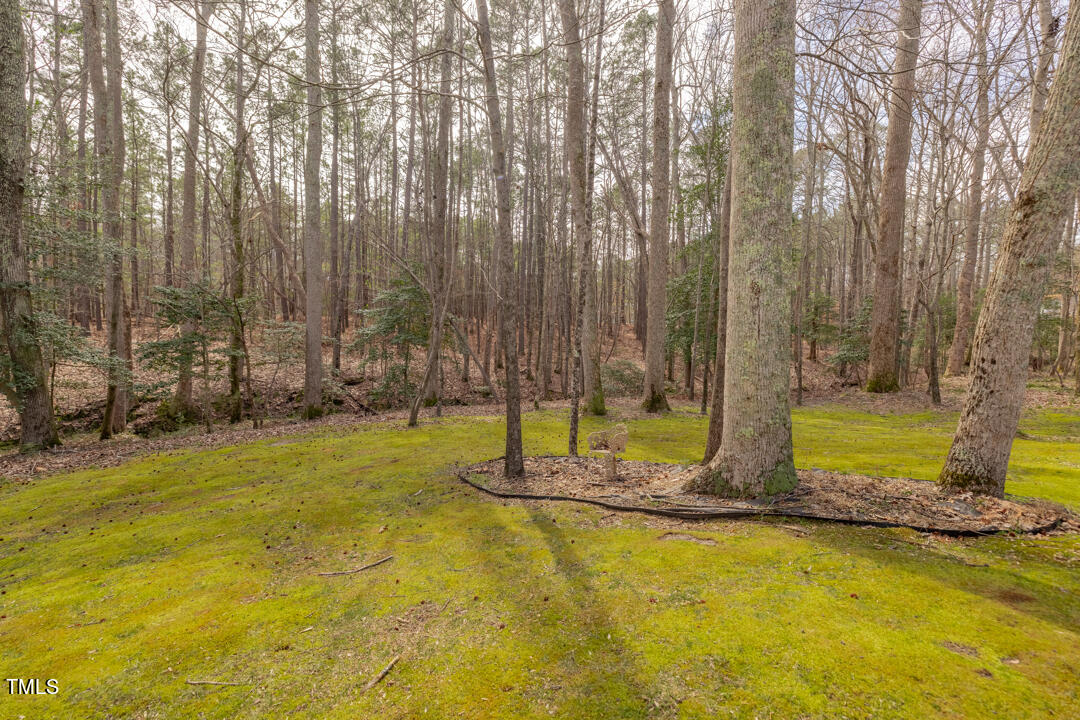 783 Timber Creek Drive