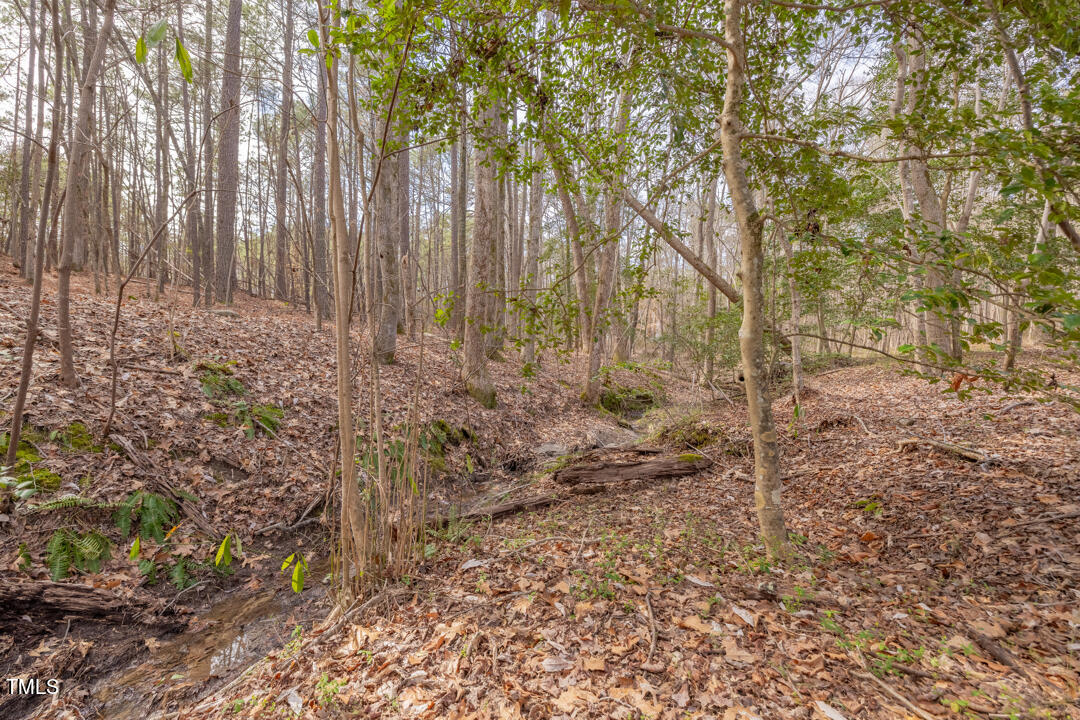783 Timber Creek Drive