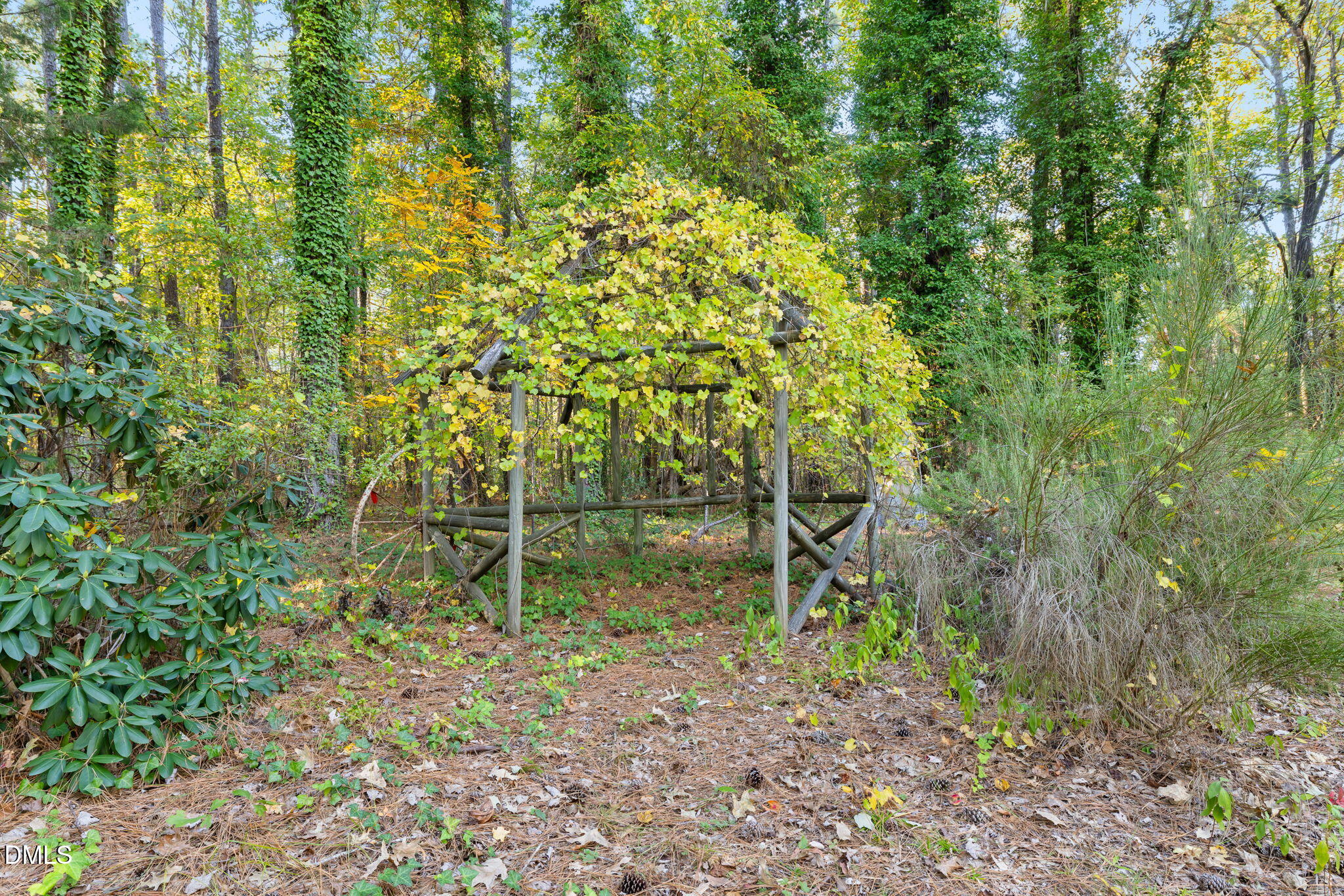 557 Timber Creek Drive