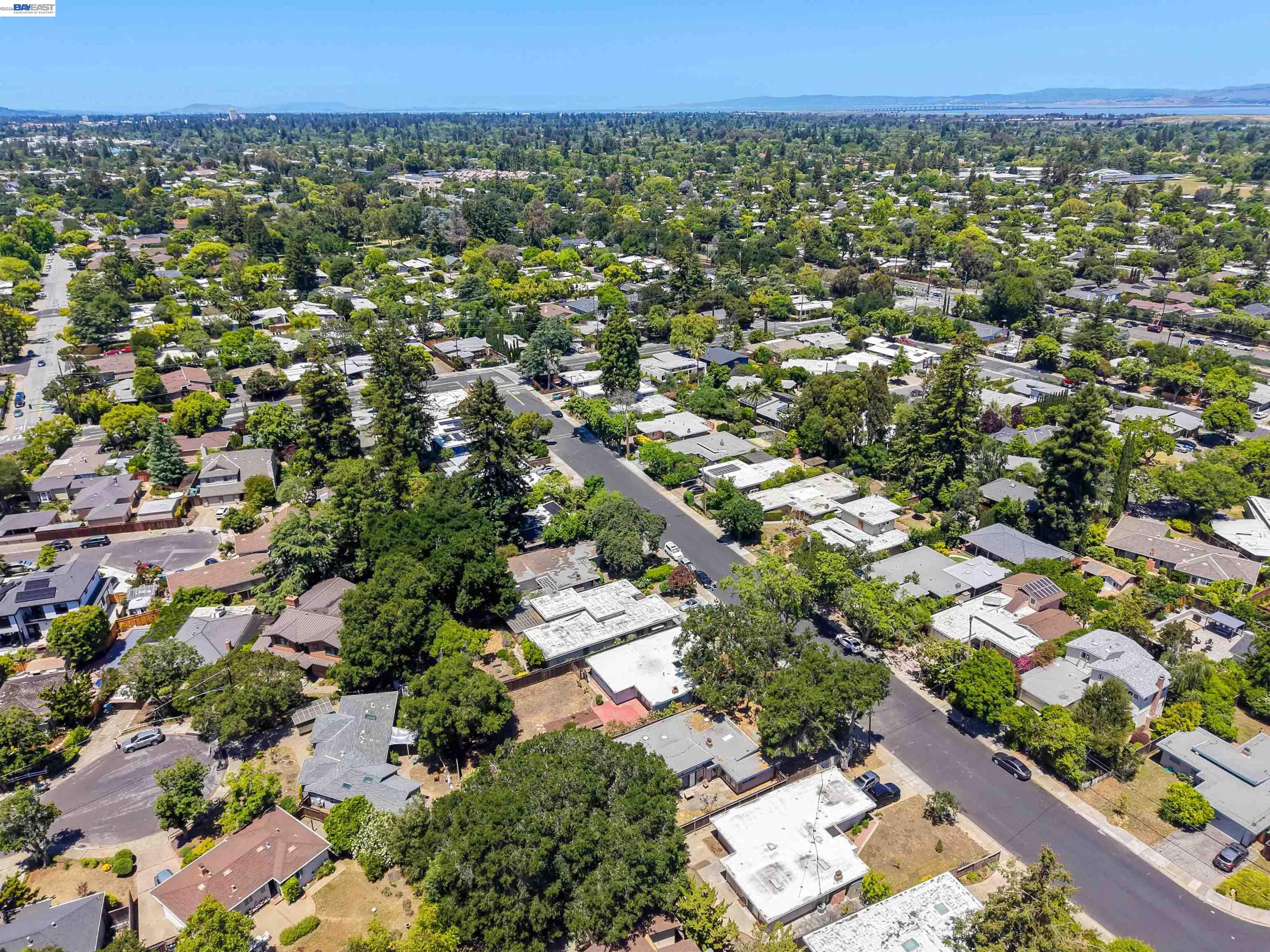 4250 Ruthelma