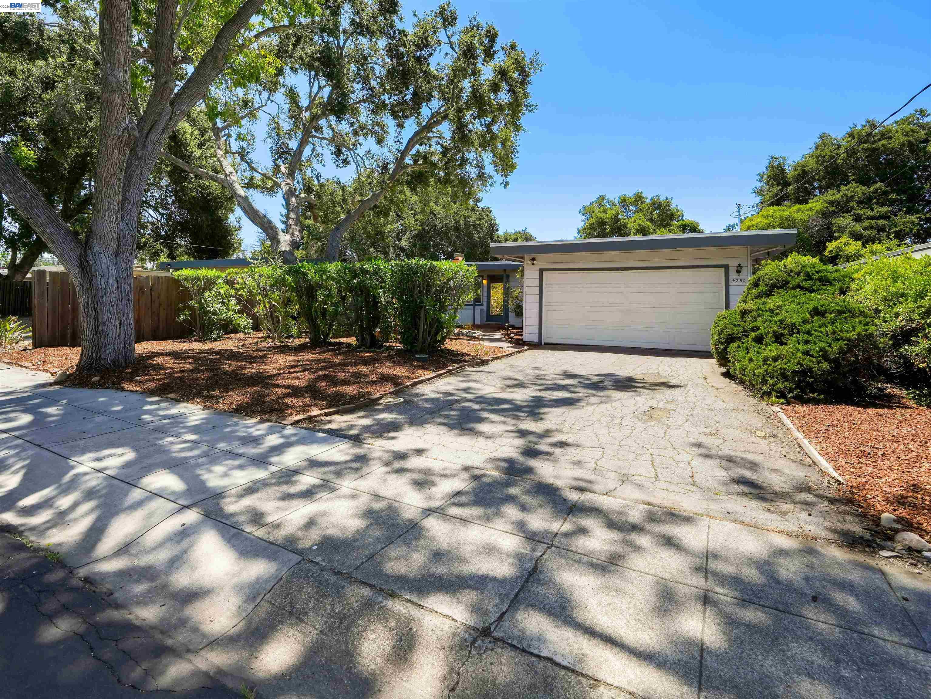 4250 Ruthelma