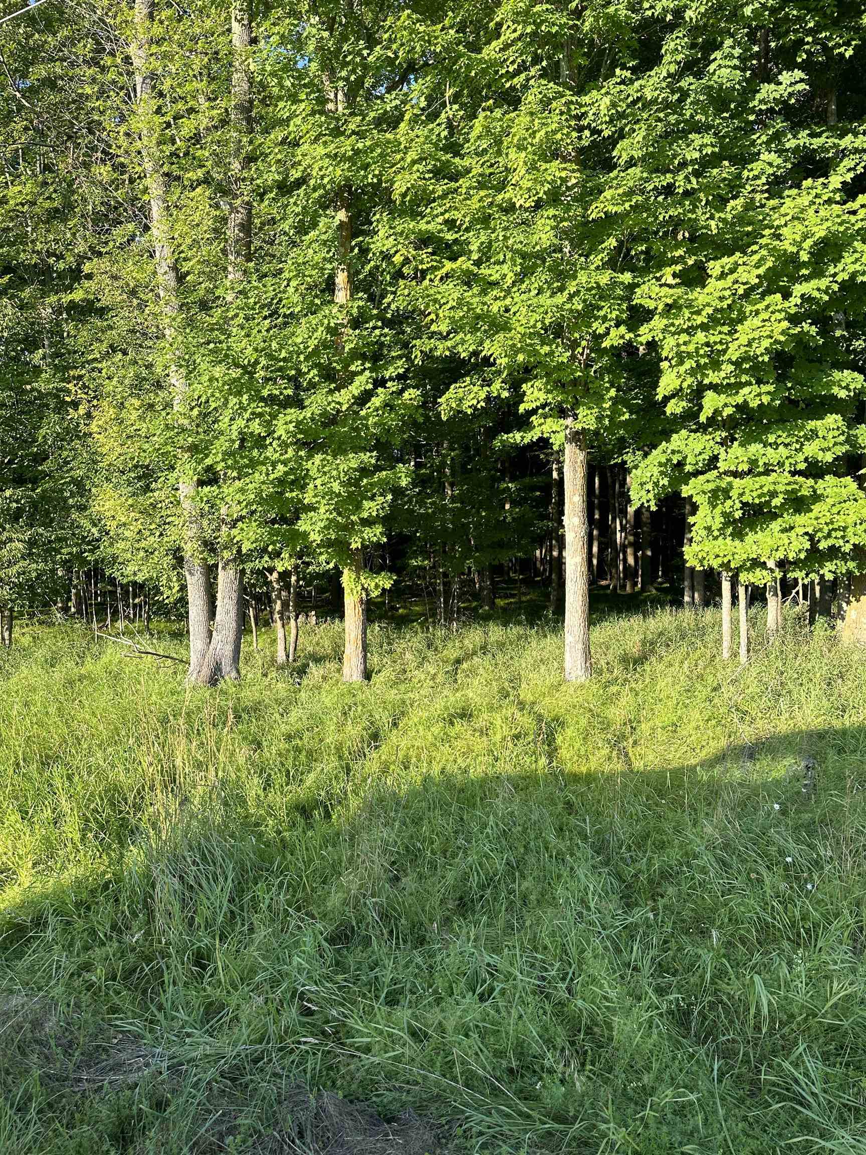 CONDROSKI Road