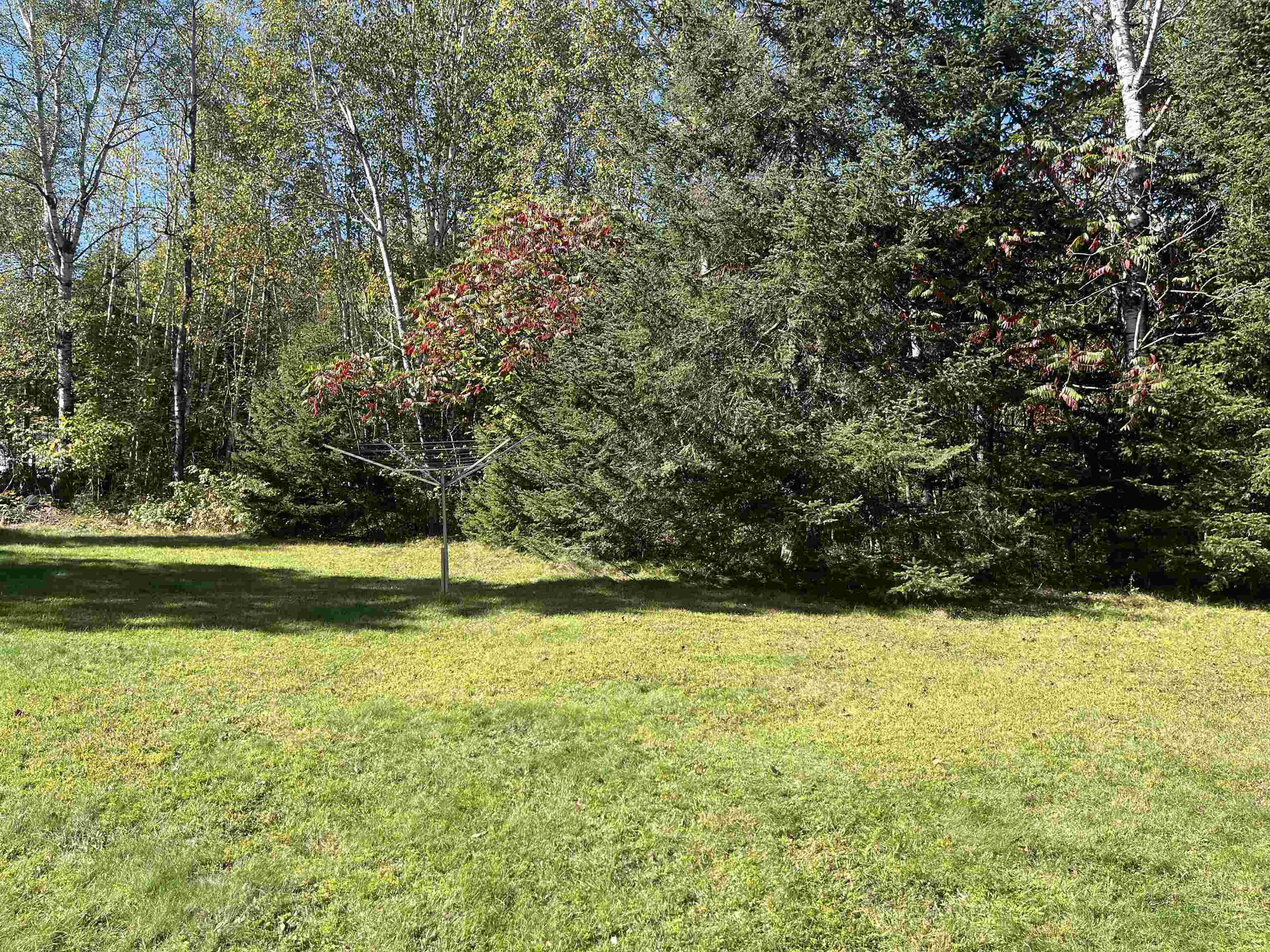 17679 BUNTING Lane