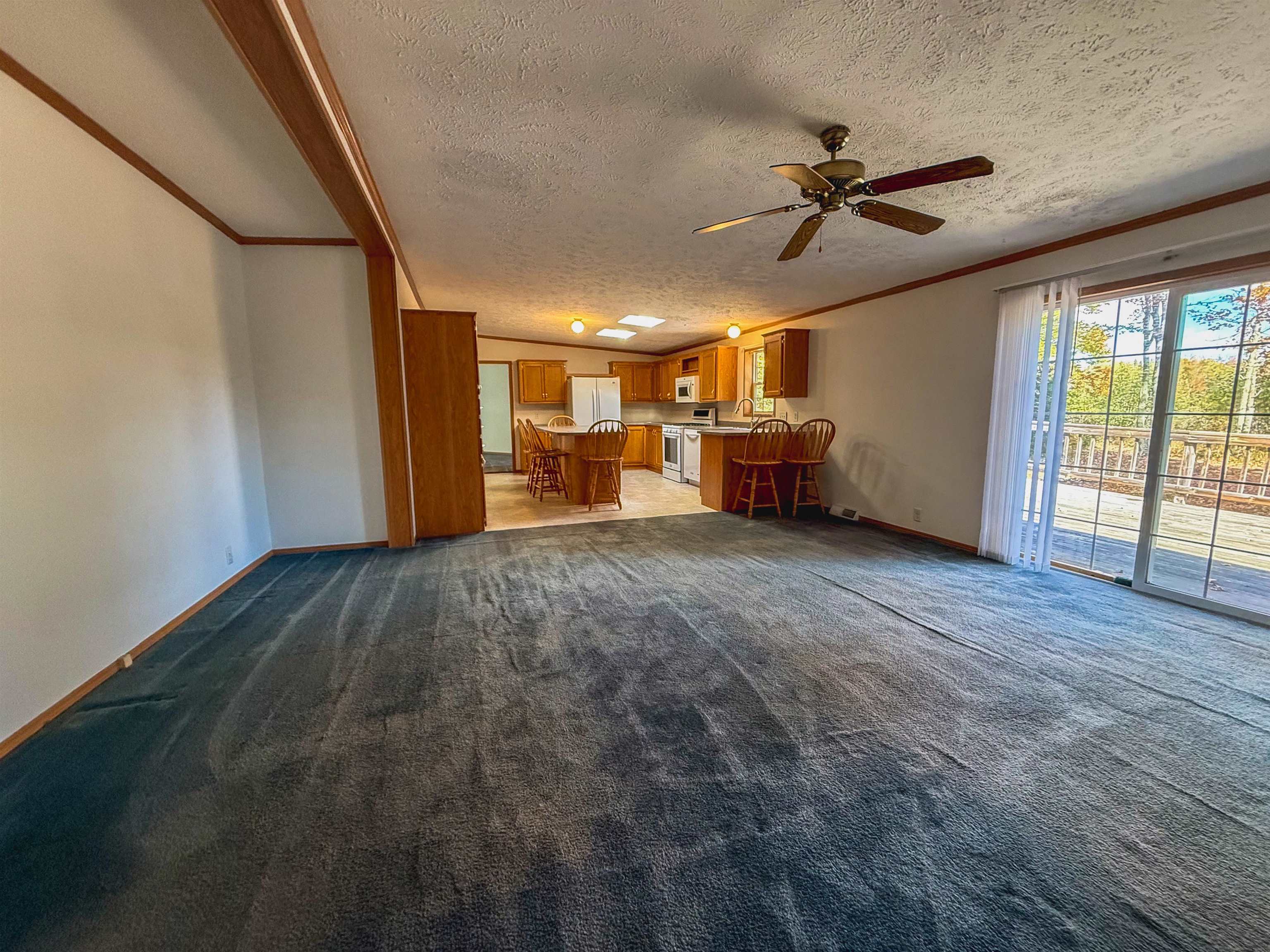 17560 BASS POINT Lane