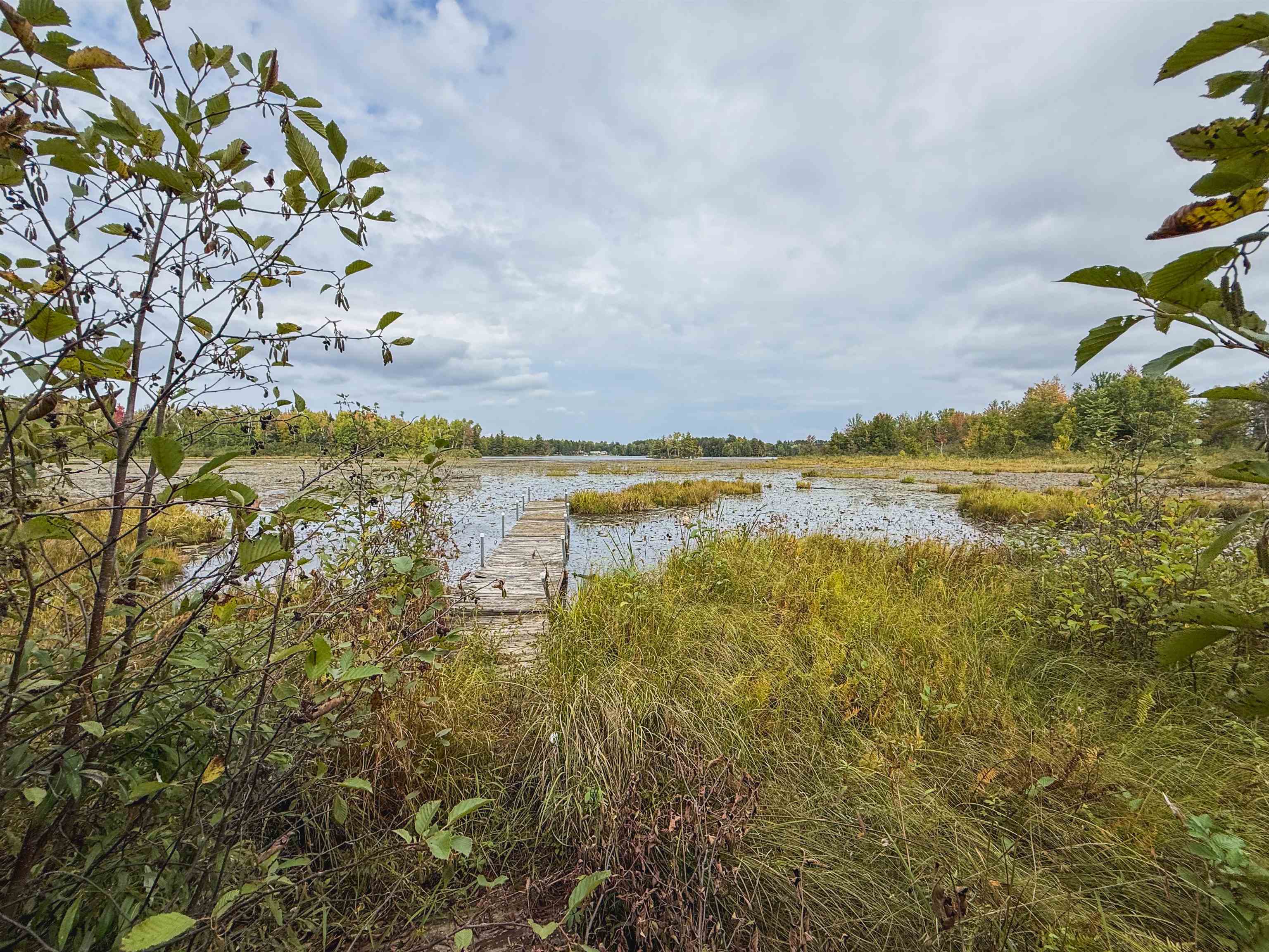 17560 BASS POINT Lane