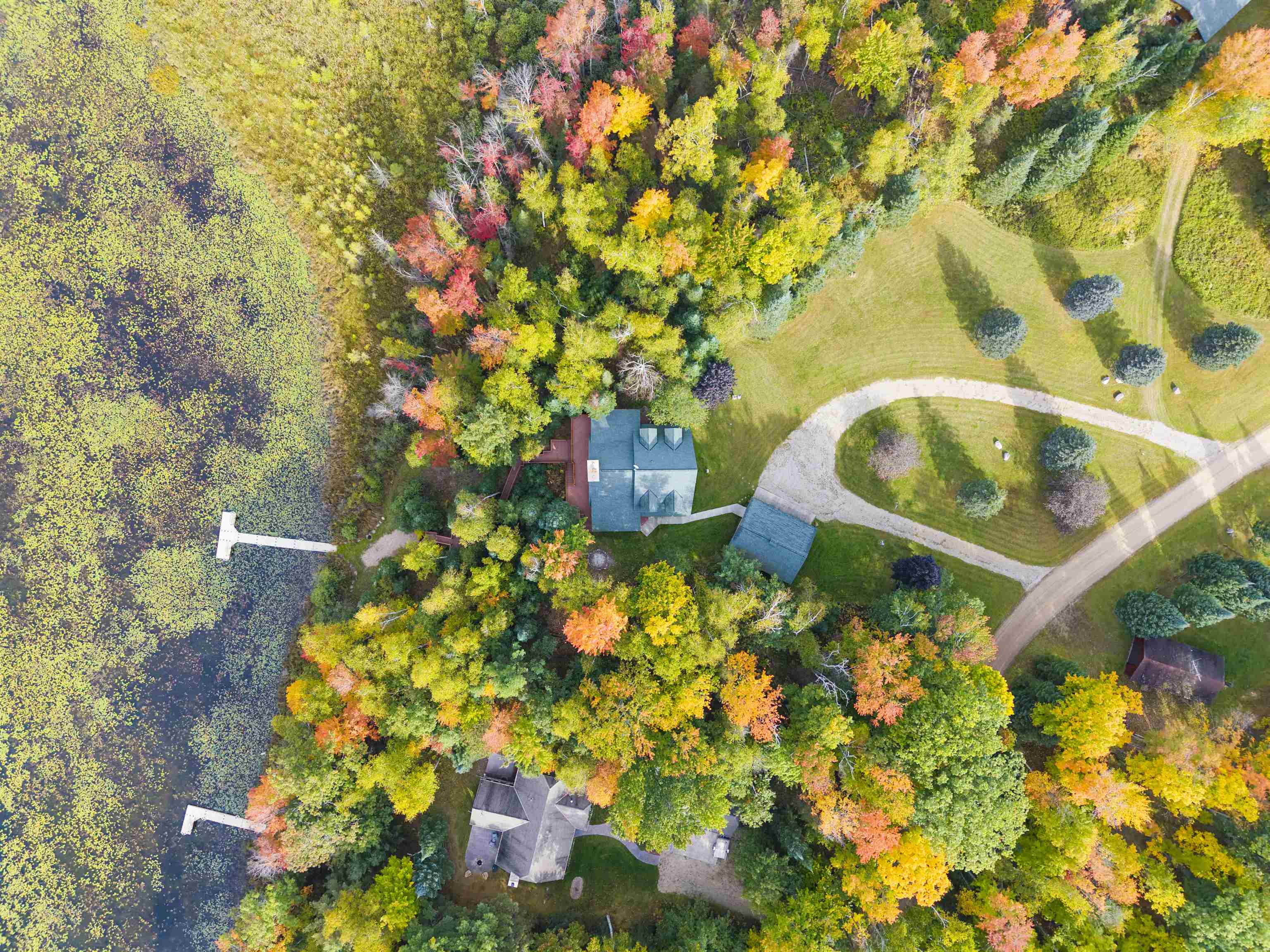 15811 CEDAR RIDGE Lane