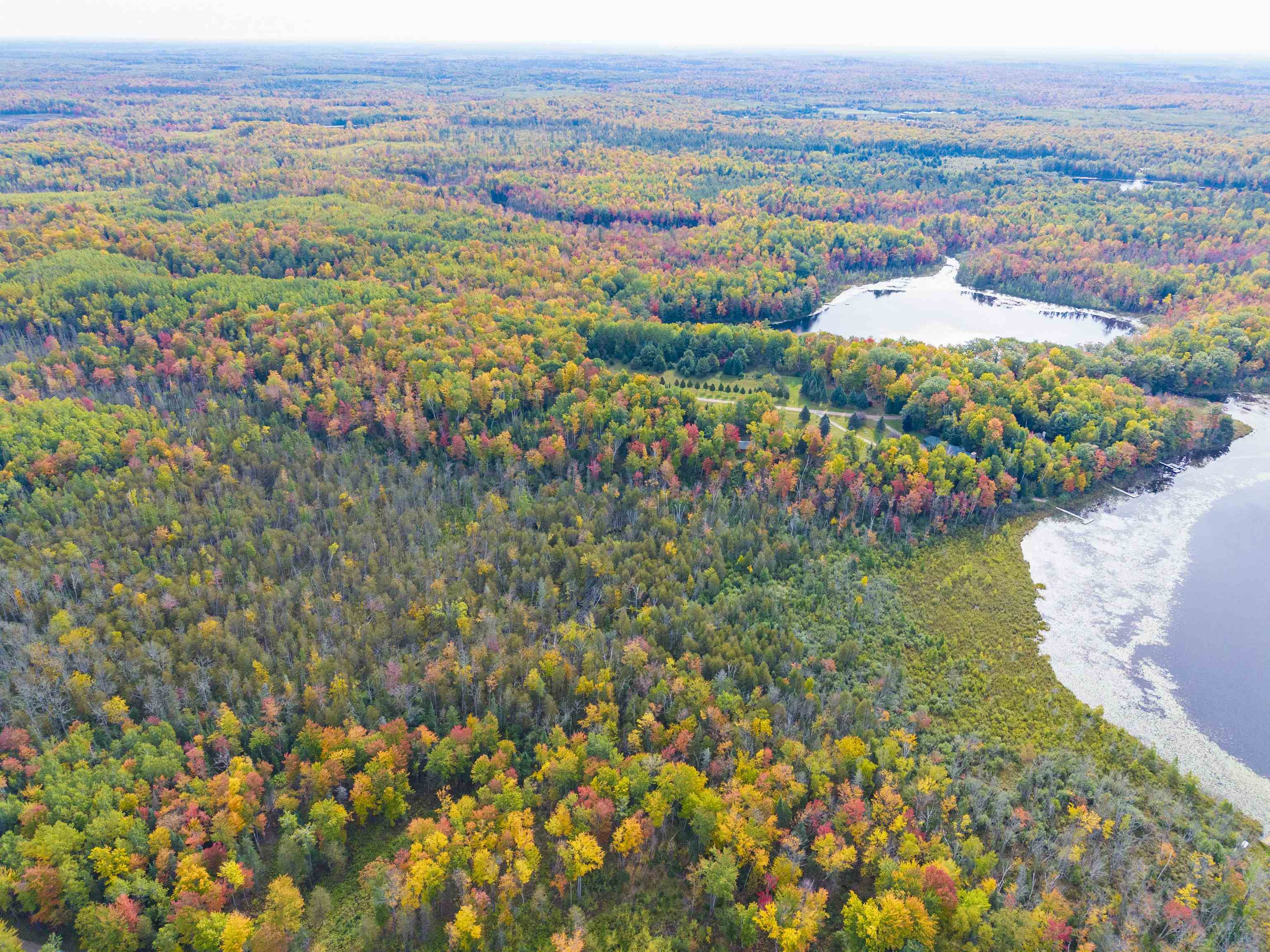 15811 CEDAR RIDGE Lane