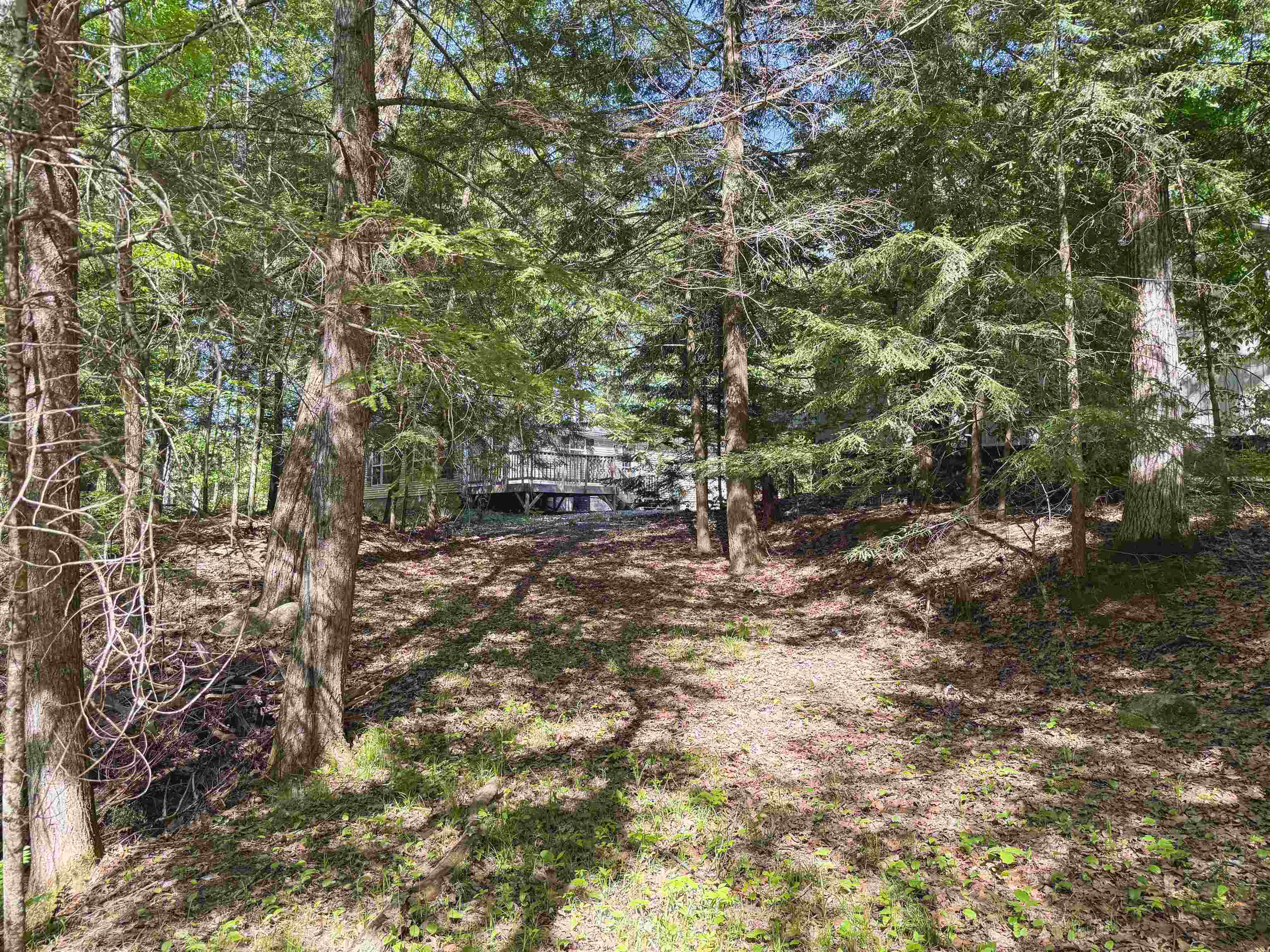 12323 LEOS Road