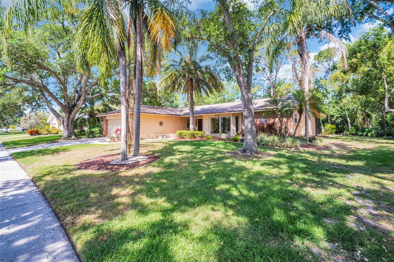 495 PALMDALE DR