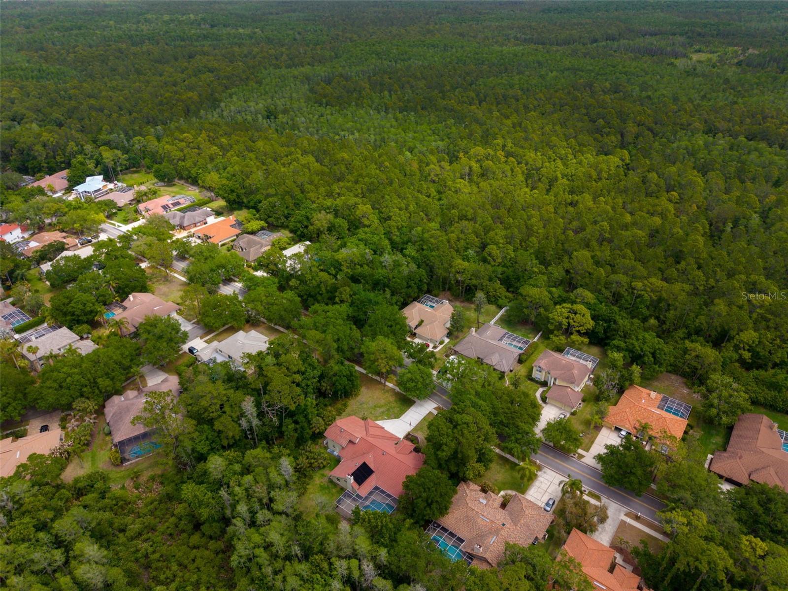 1404 EAST LAKE WOODLANDS PKWY