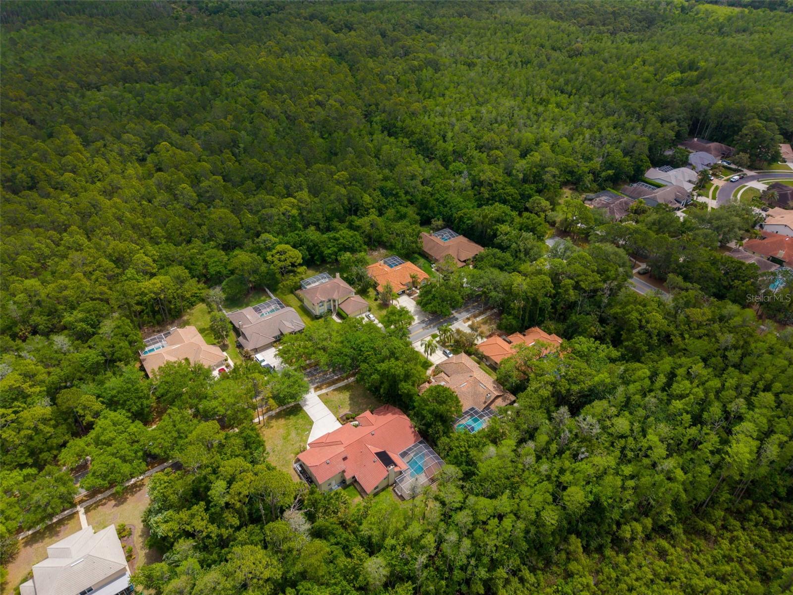 1404 EAST LAKE WOODLANDS PKWY