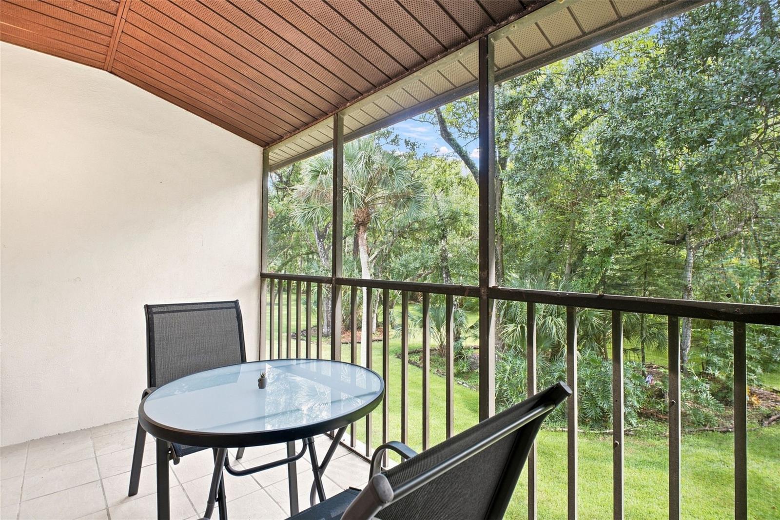 Screened patio with a glass-top table and chairs overlooking a leafy lawn.
